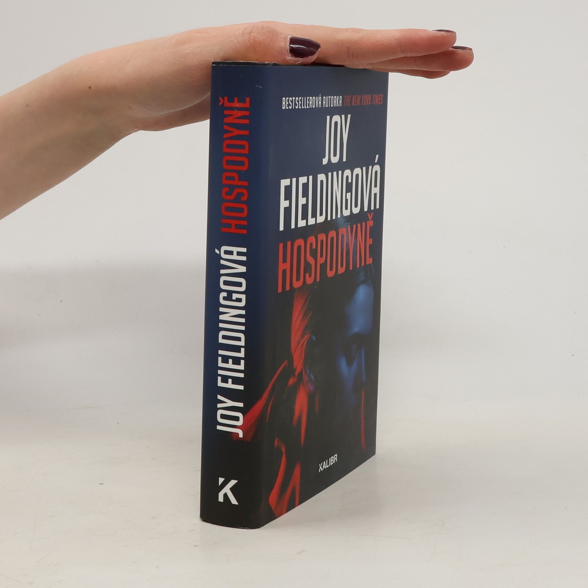 Joy Fielding Hospodyně