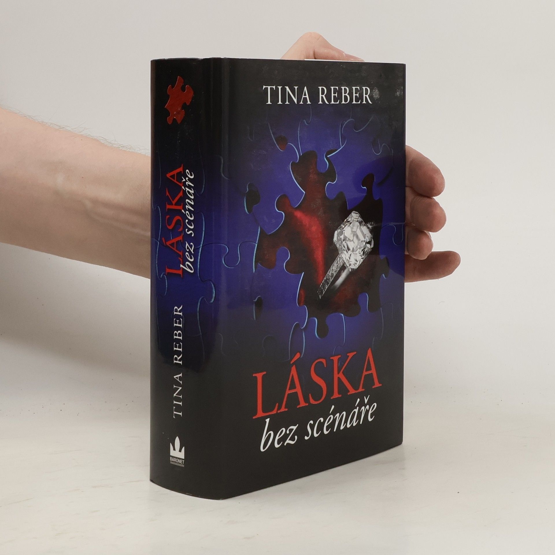 Tina Reber Láska bez scénáře