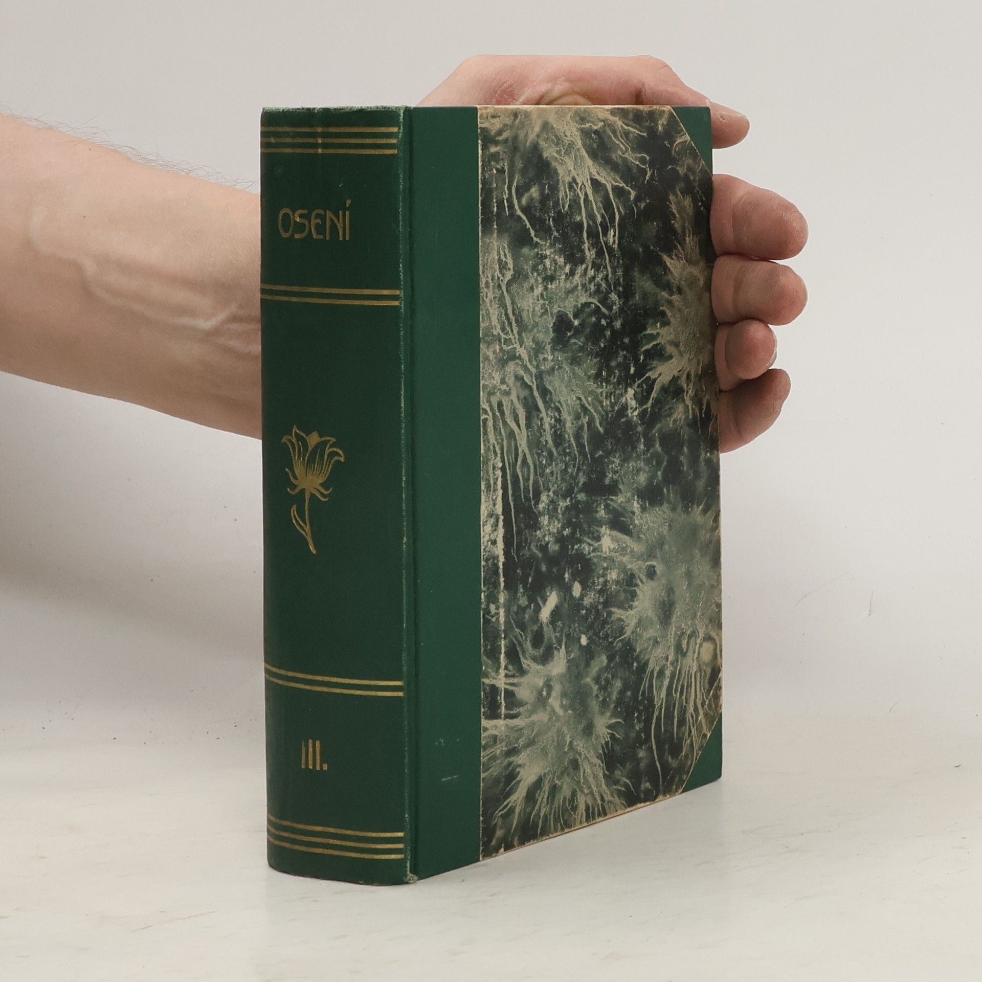 Jan Neruda Osení 13.