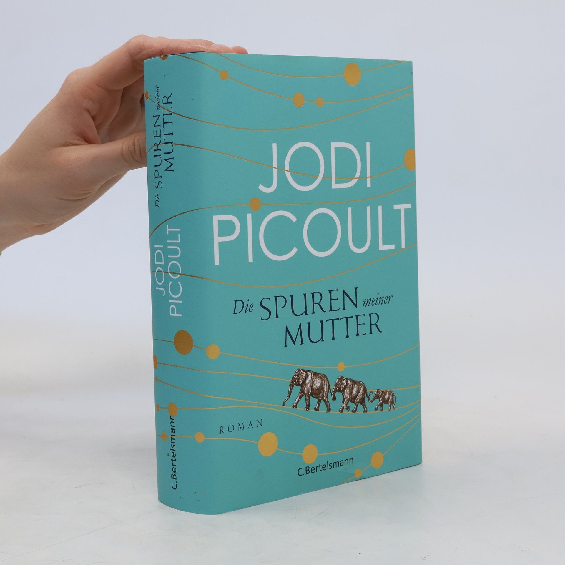 Jodi Picoult Die Spuren meiner Mutter