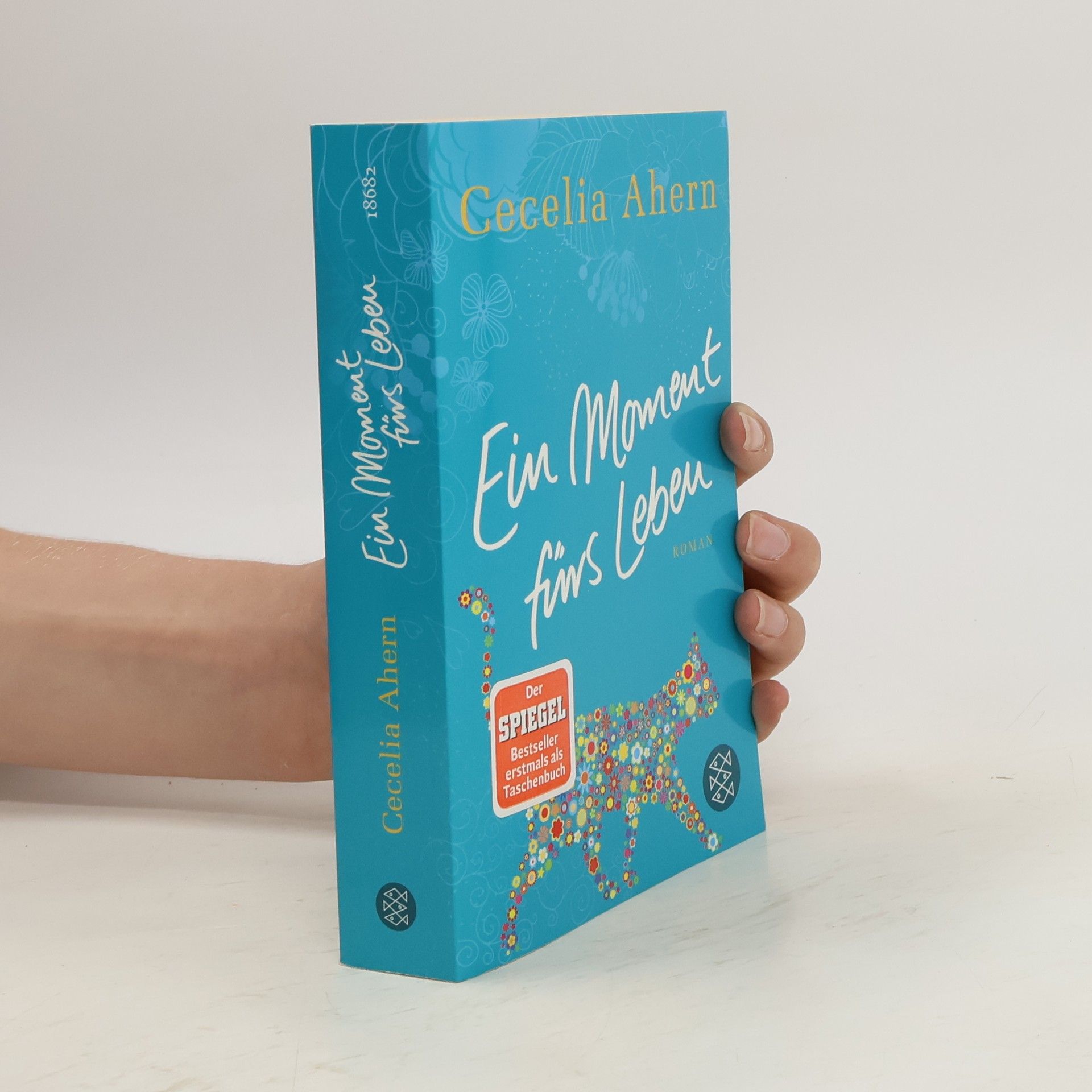 Cecelia Ahern Ein Moment fürs Leben
