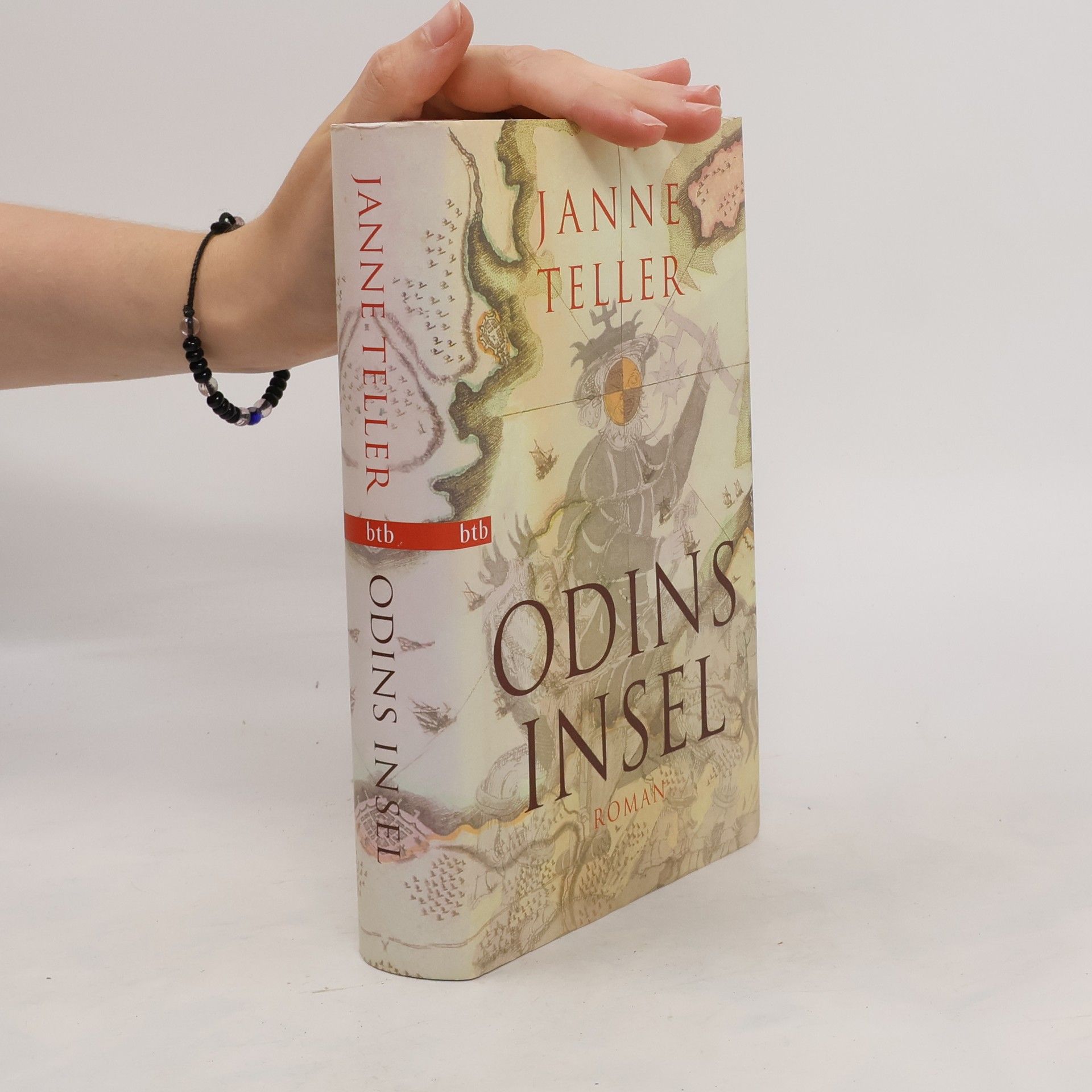 Janne Teller Odins Insel