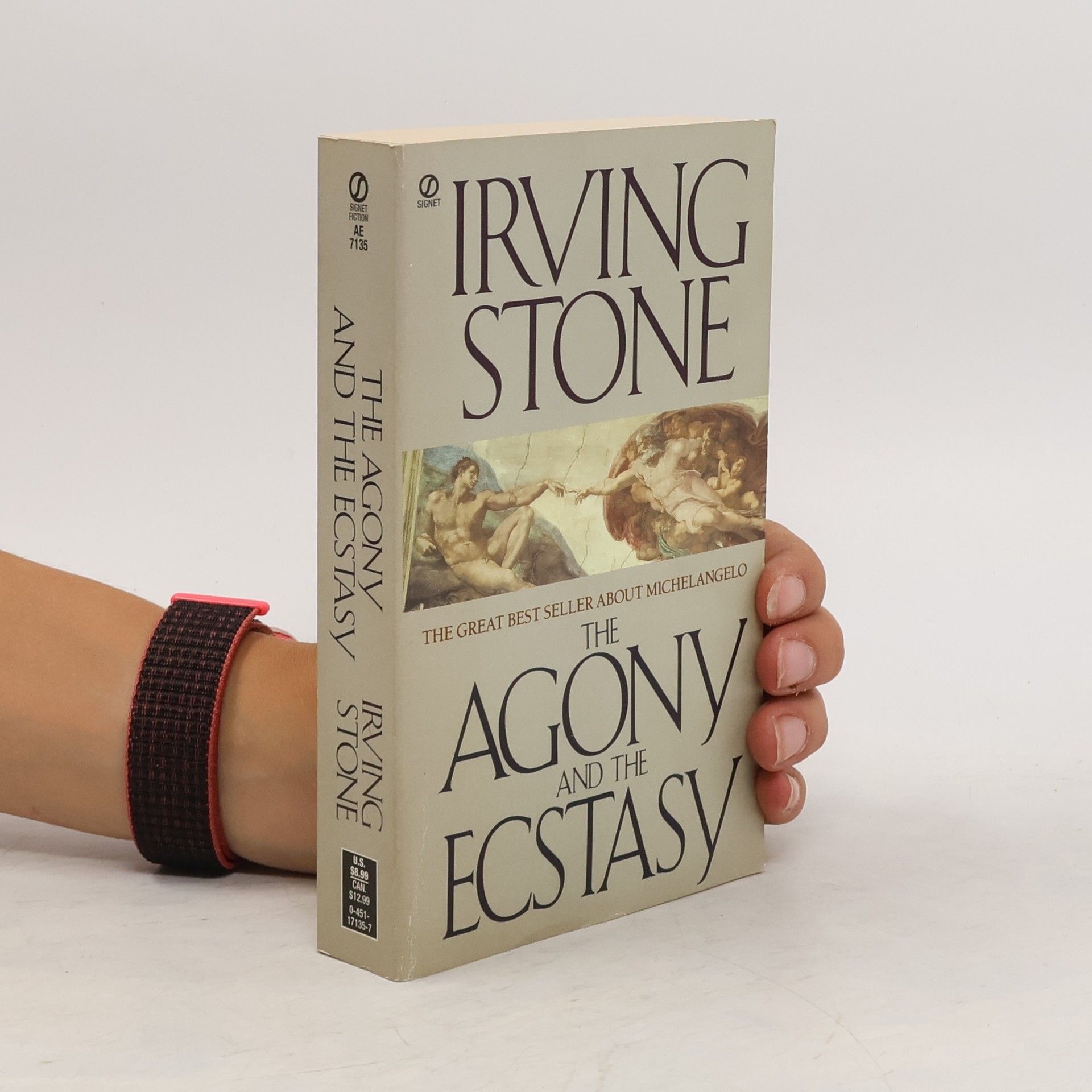 Irving Stone The agony and the ecstasy : a biographical novel of Michelangelo