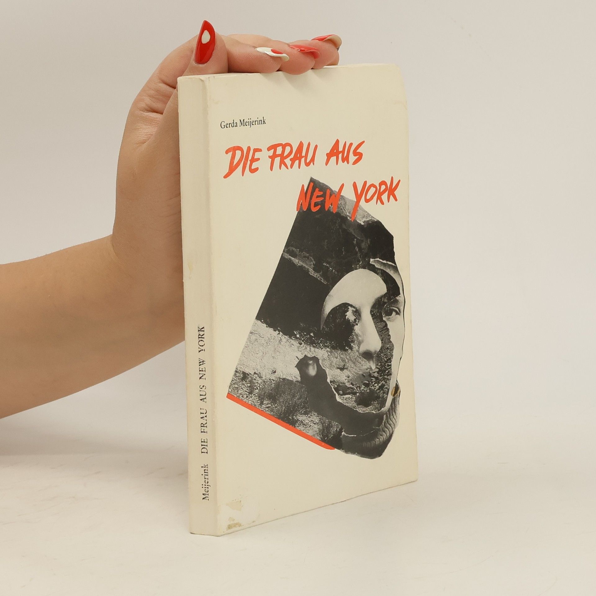 Gerda Meijerink Die Frau aus New York