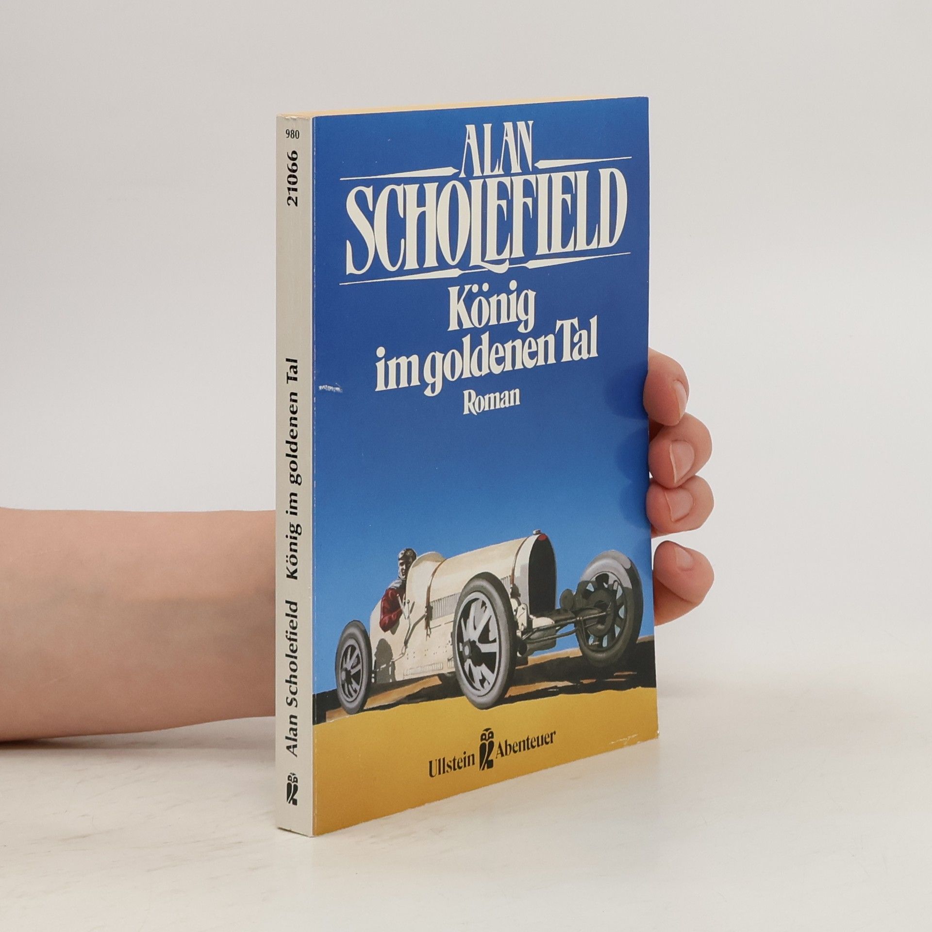 Alan Scholefield König im goldenen Tal