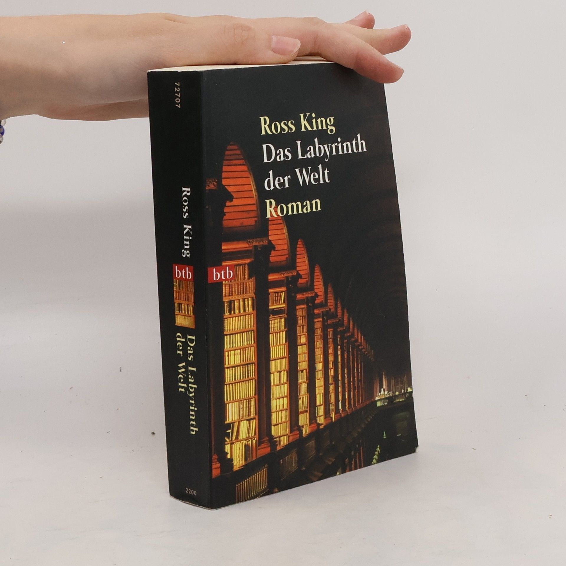 Ross King Das Labyrinth der Welt