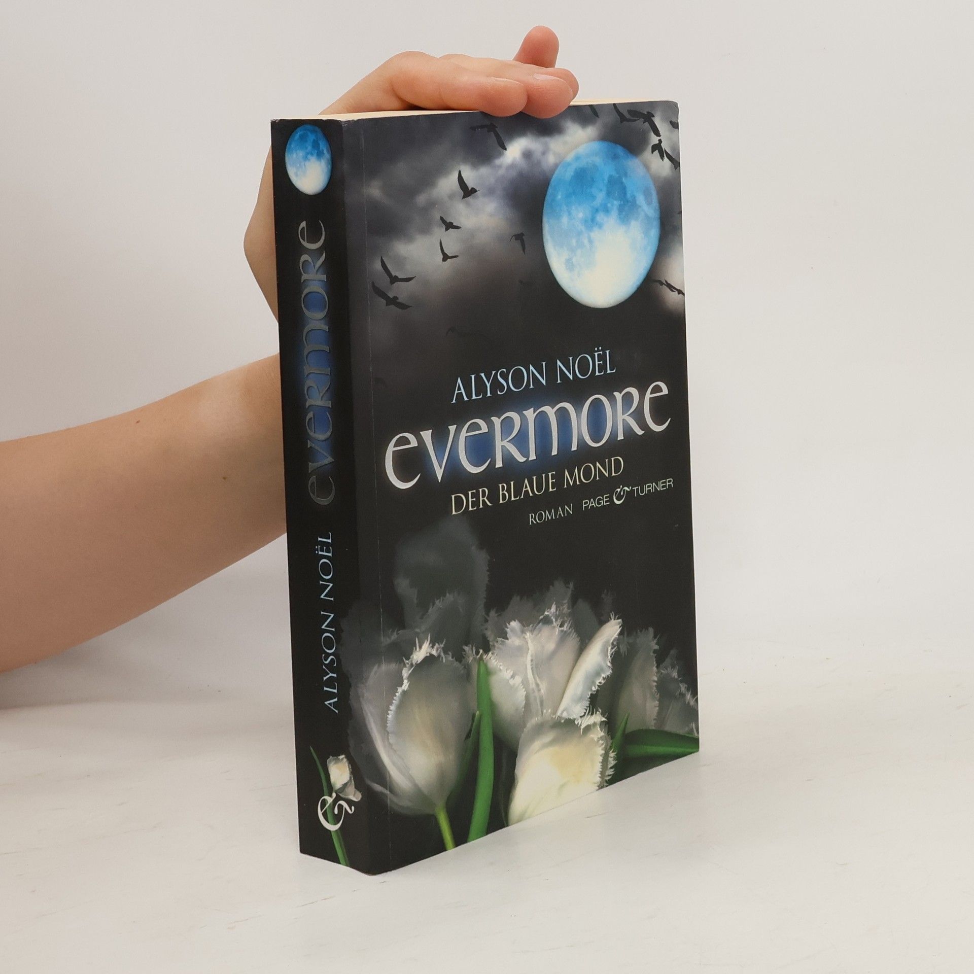 Alyson Noë͏l Evermore: Der blaue Mond
