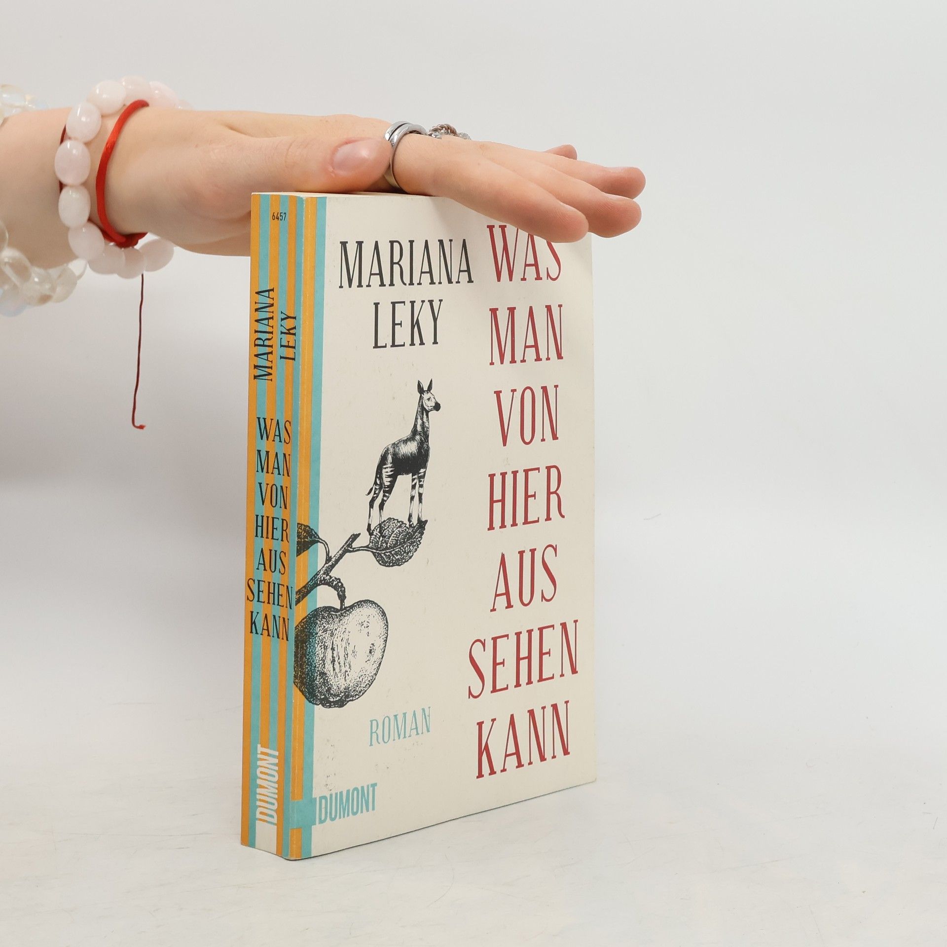 Mariana Leky Was man von hier aus sehen kann