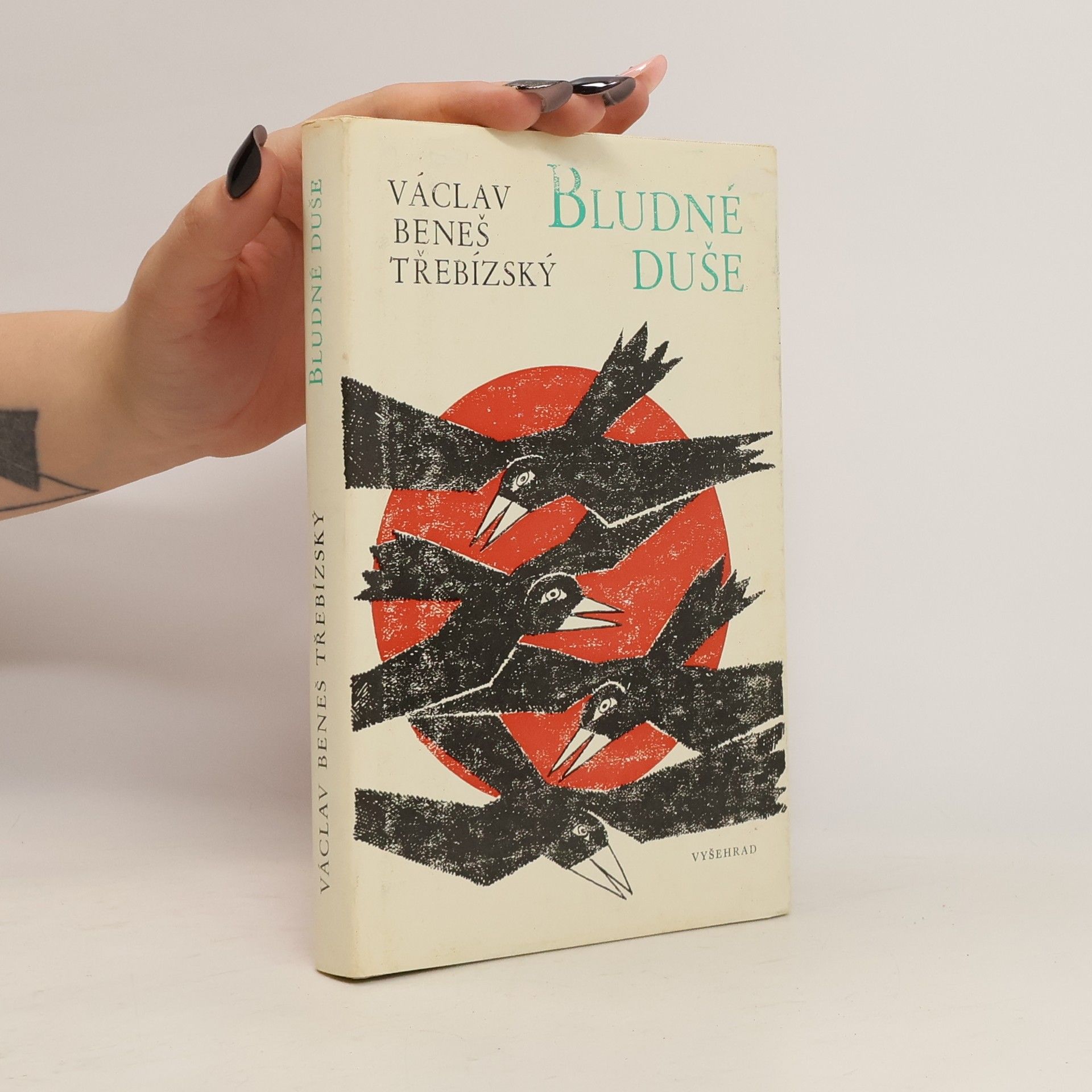 Václav Beneš Třebízský Bludné duše