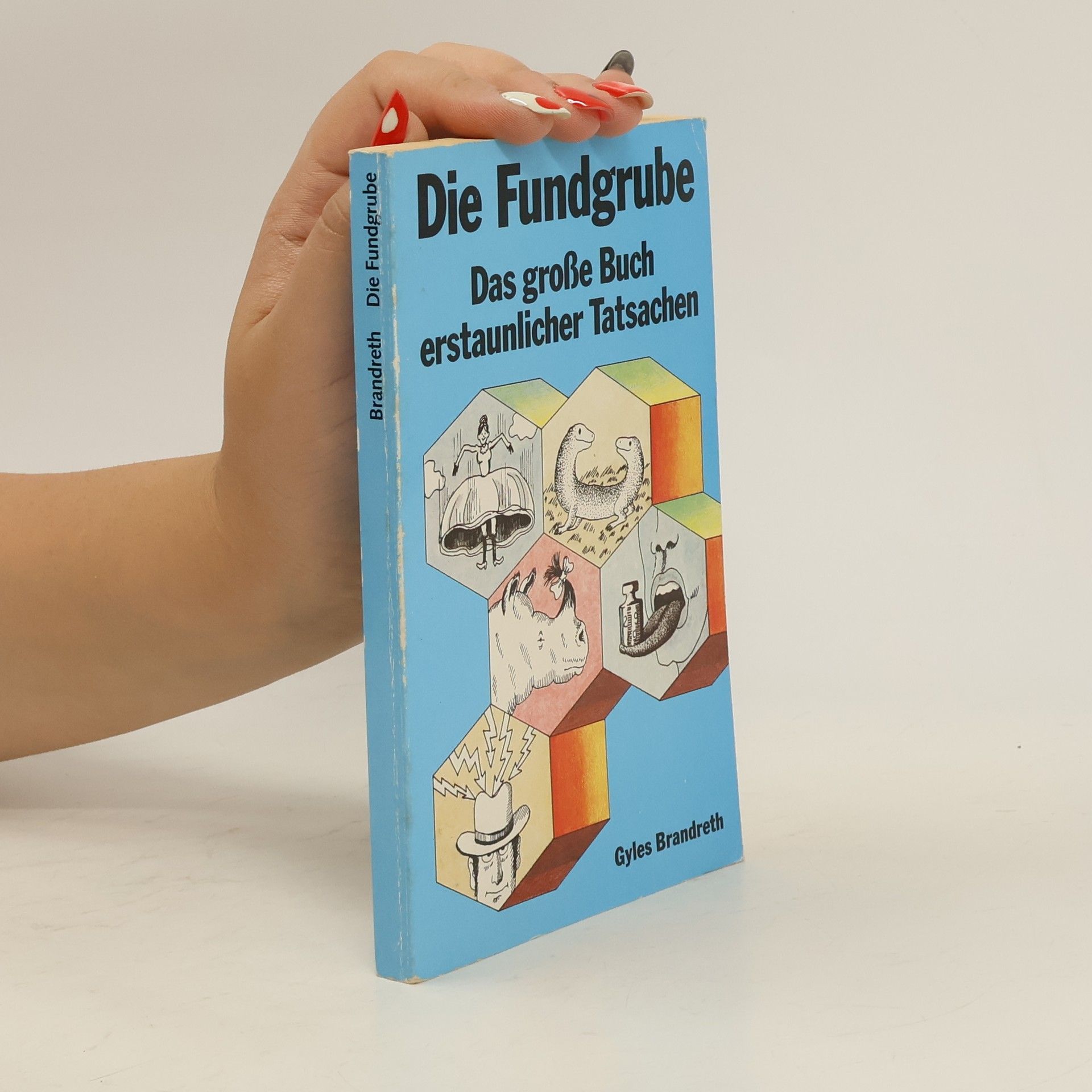Gyles Daubeney Brandreth Die Fundgrube