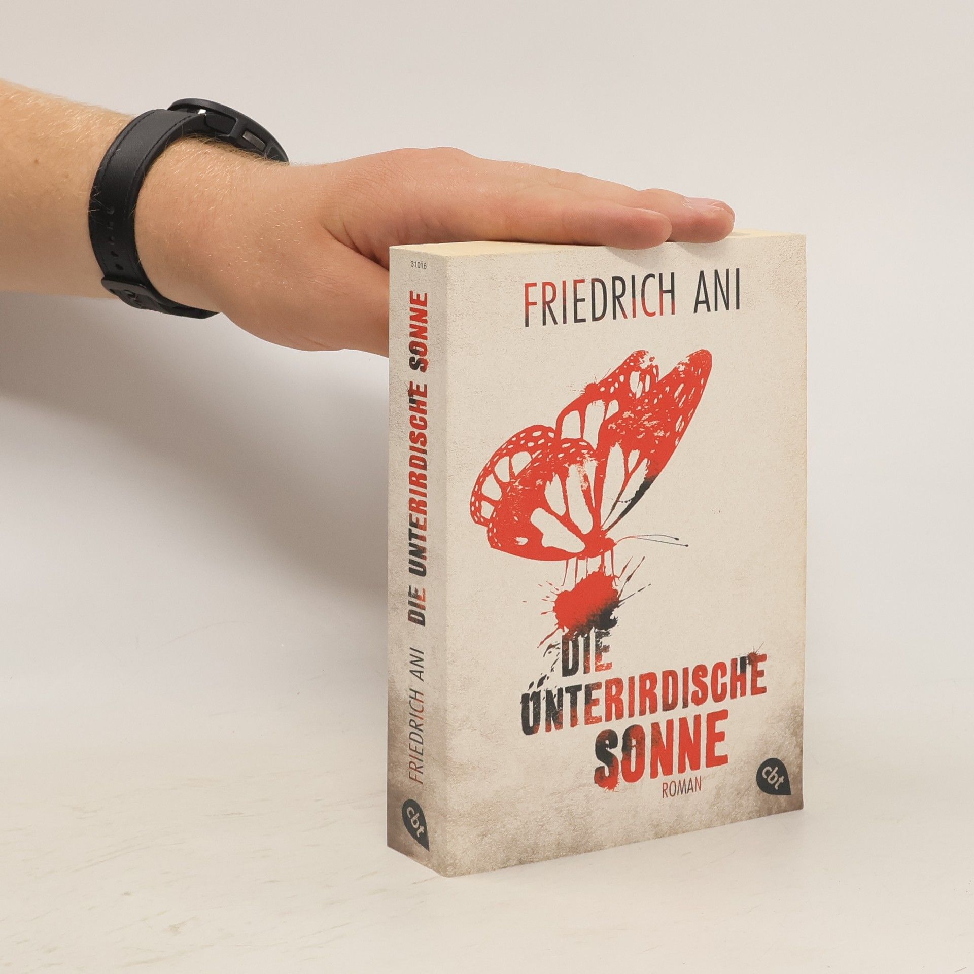 Friedrich Ani Die unterirdische Sonne
