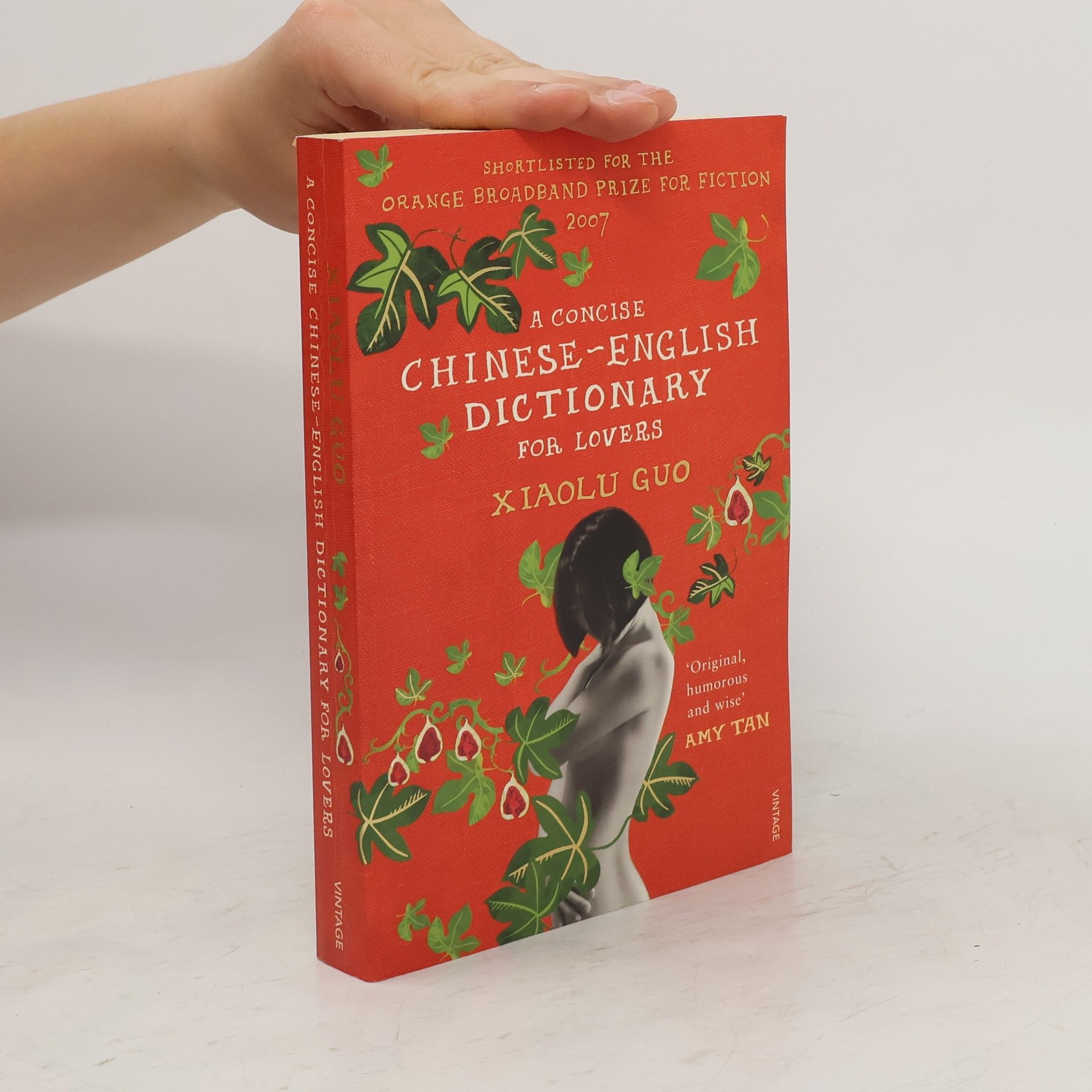 Xiaolu Guo A Concise Chinese-English Dictionary for Lovers