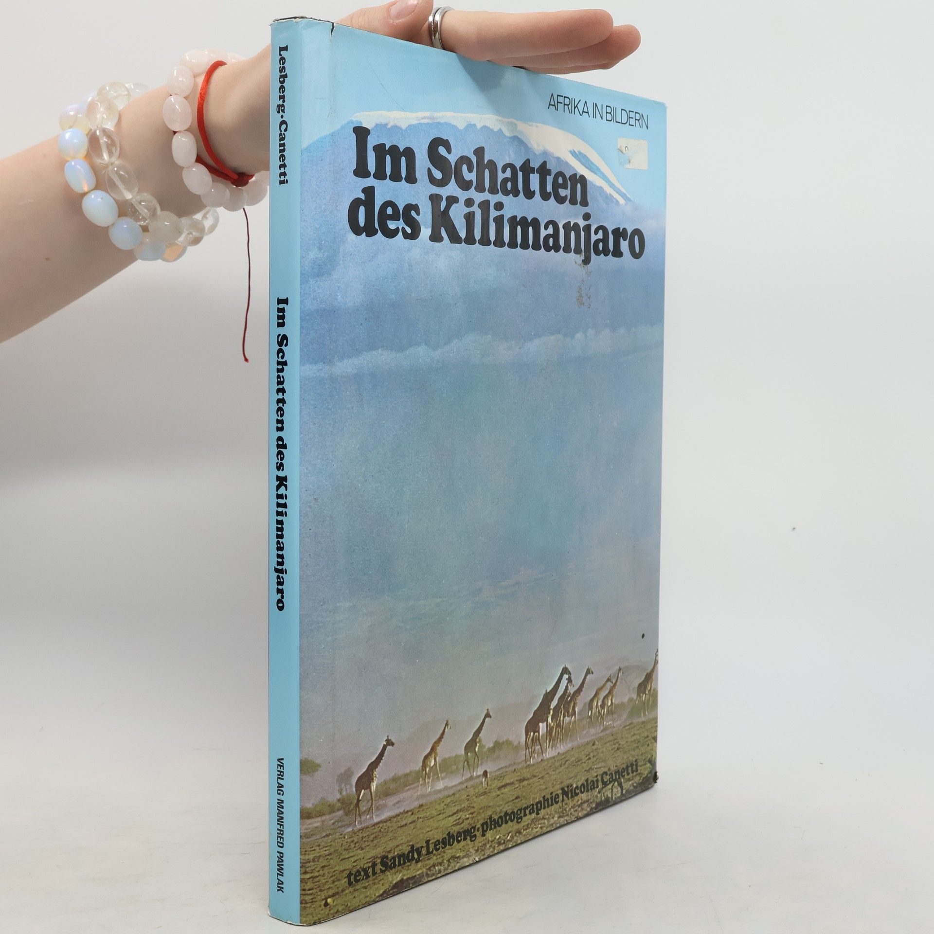 Sandy Lesberg Im Schatten des Kilimanjaro