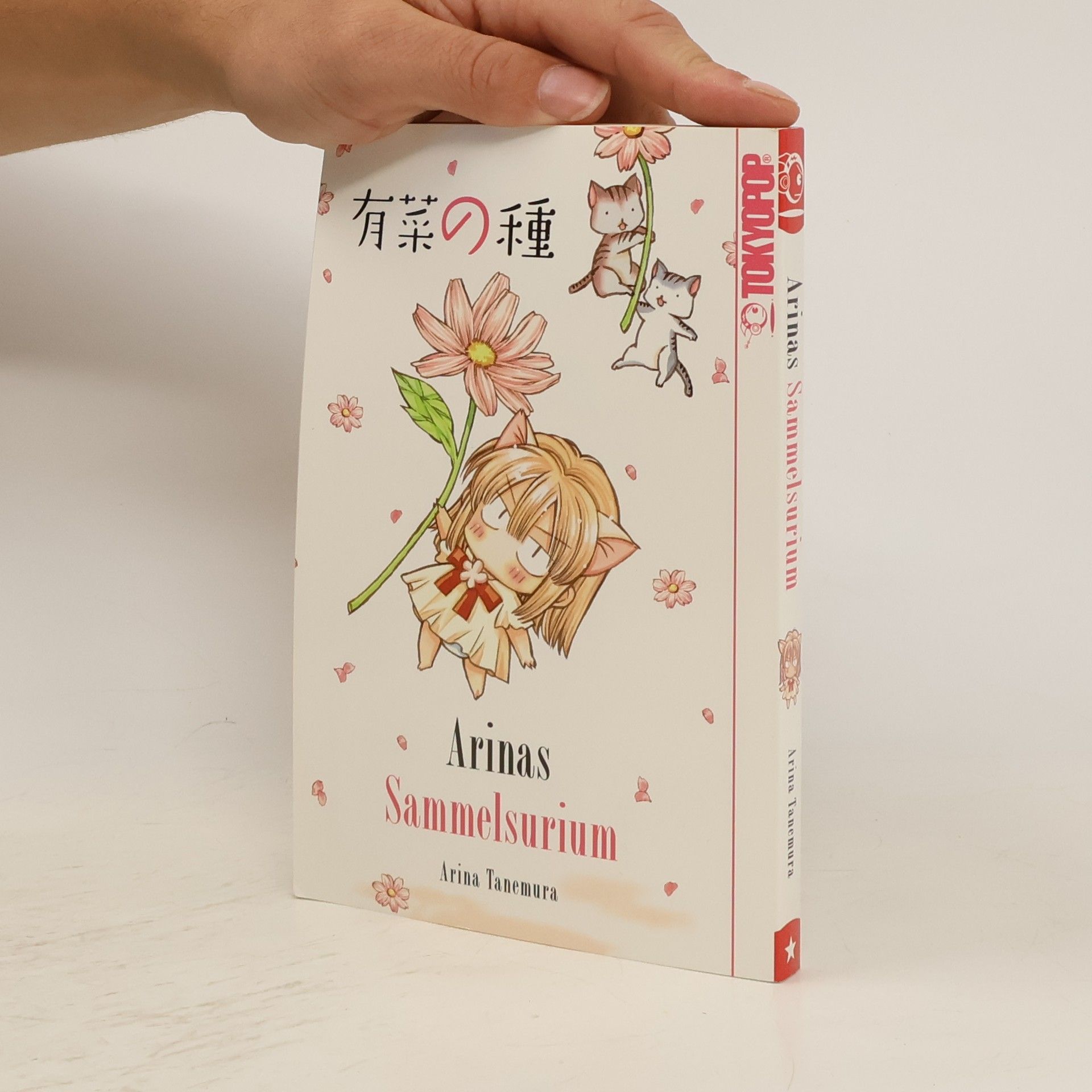 Arina Tanemura Arinas Sammelsurium