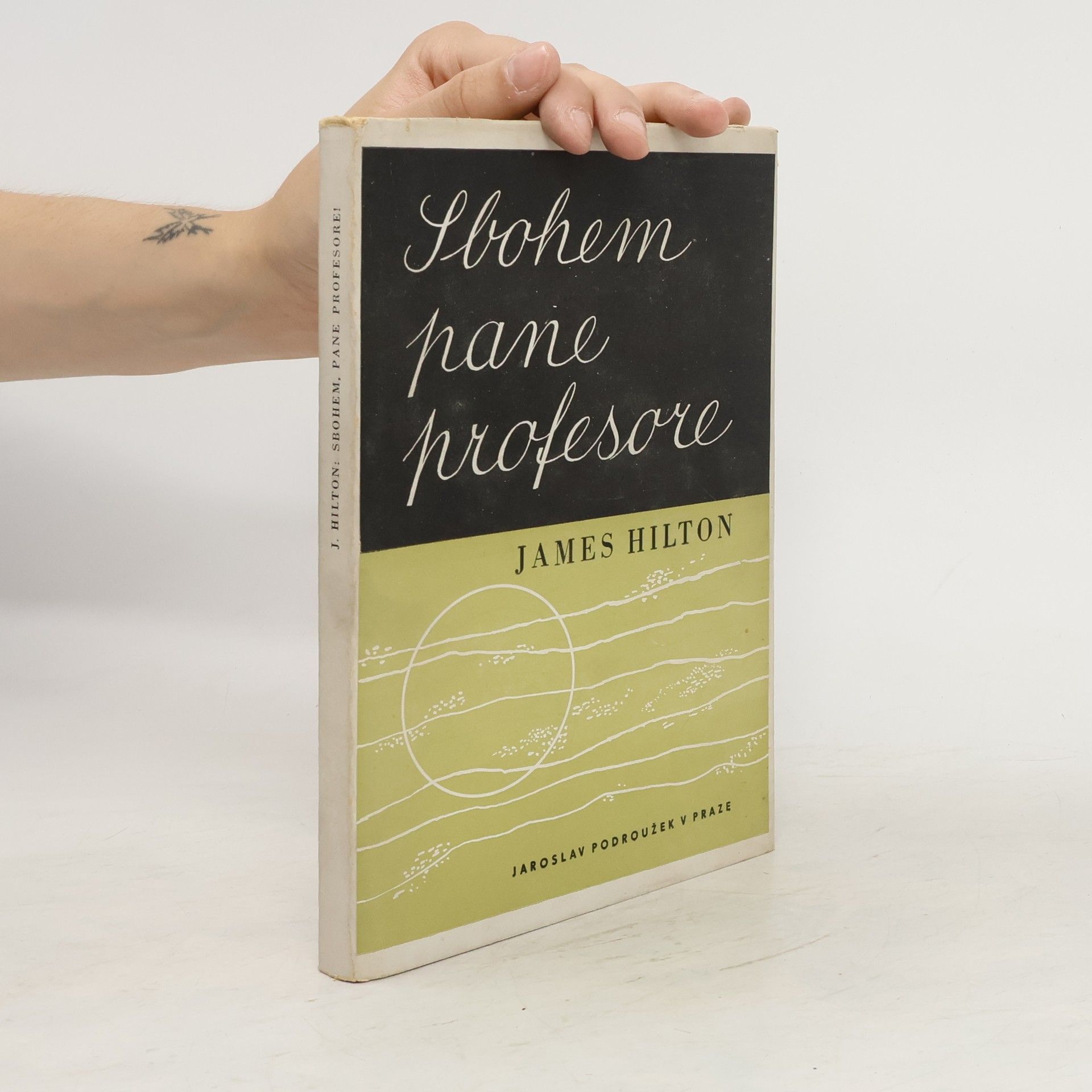 James Hilton Sbohem, pane profesore