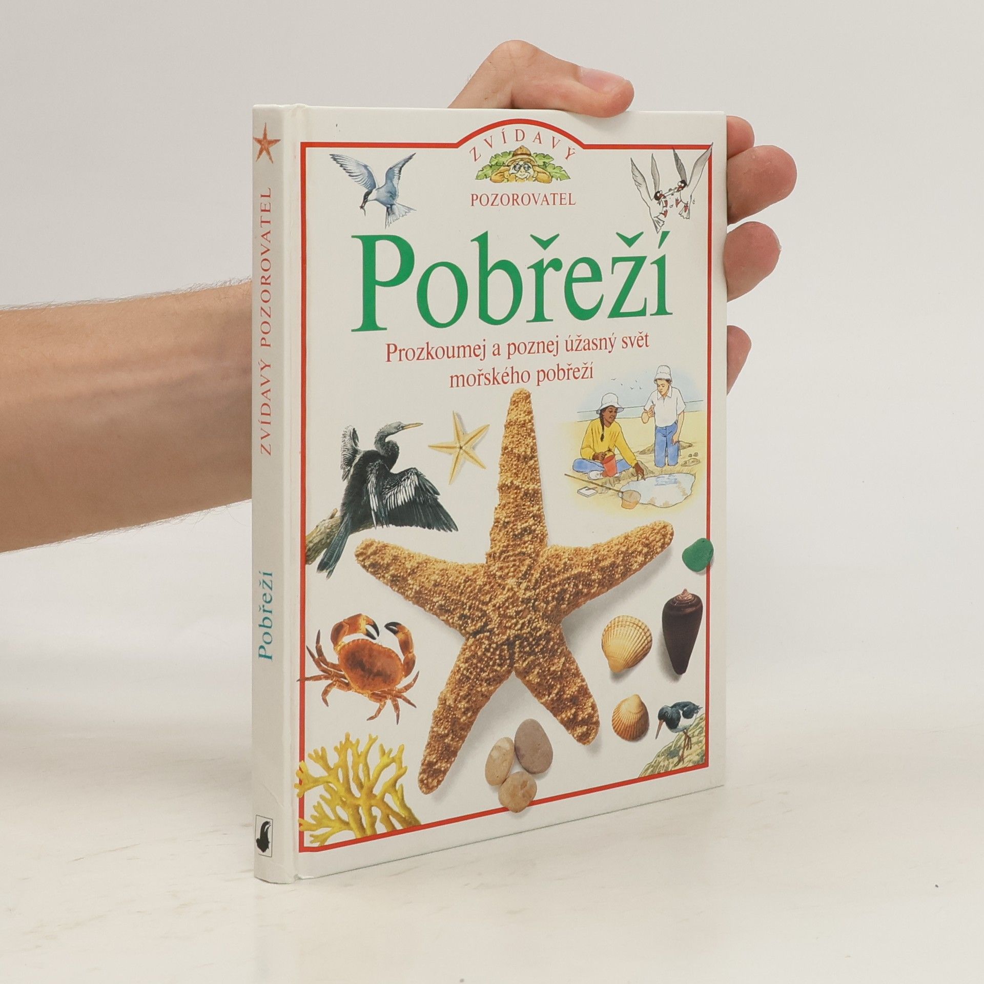 David Burnie Pobřeží