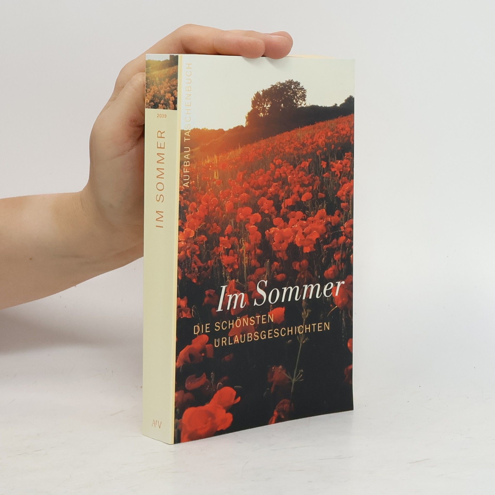 Gunnar Cynybulk Im Sommer