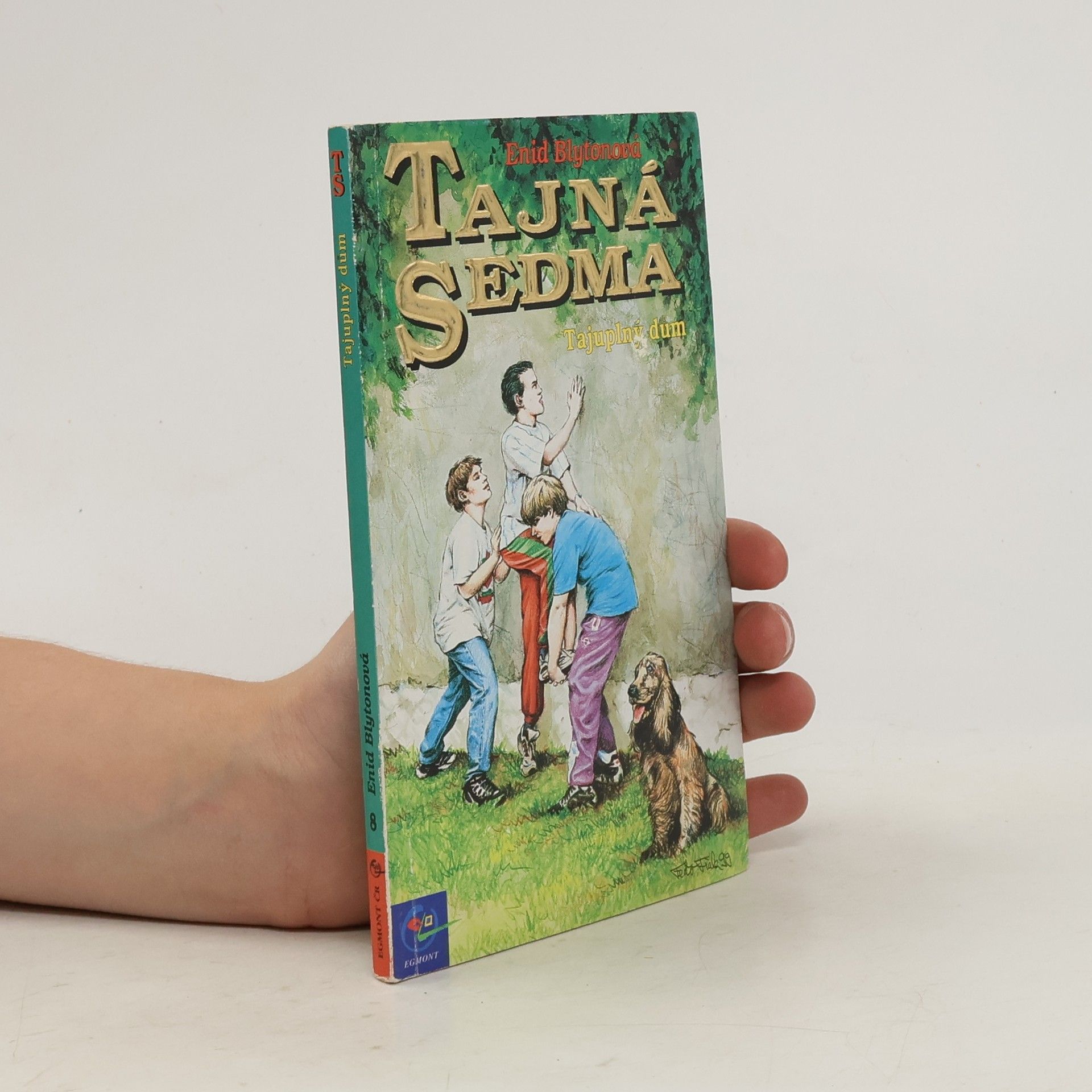 Enid Blyton Tajná sedma. Tajuplný dům