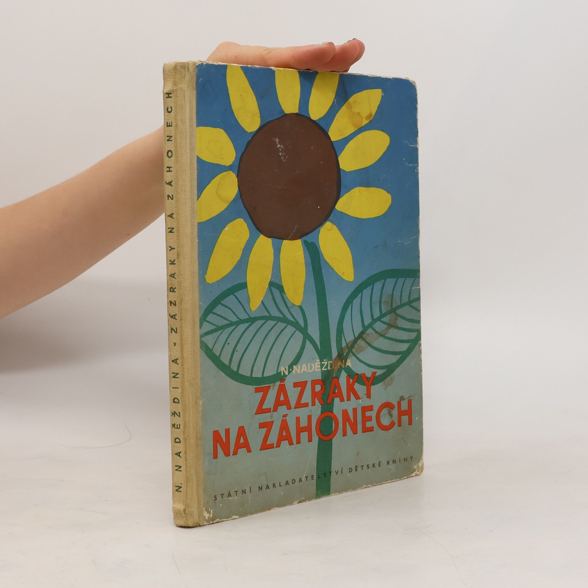 N. Naděždina Zázraky na záhonech