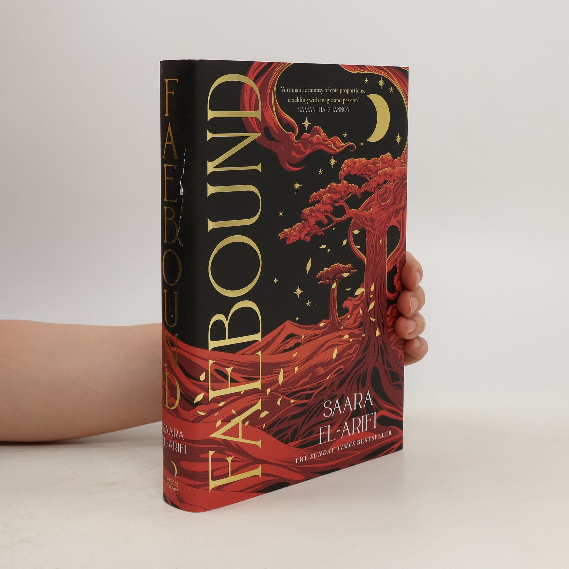 Saara El-Arifi Faebound 1