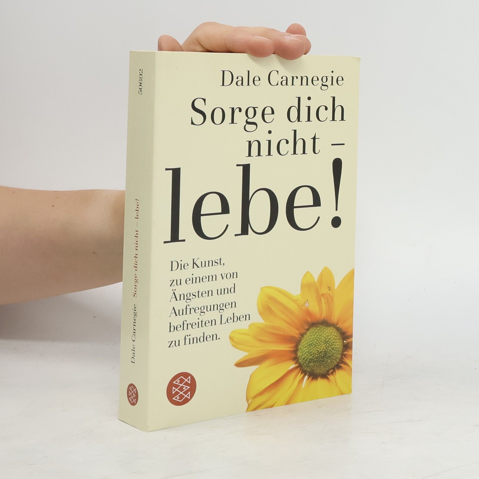 Dale Carnegie Sorge dich nicht - lebe!