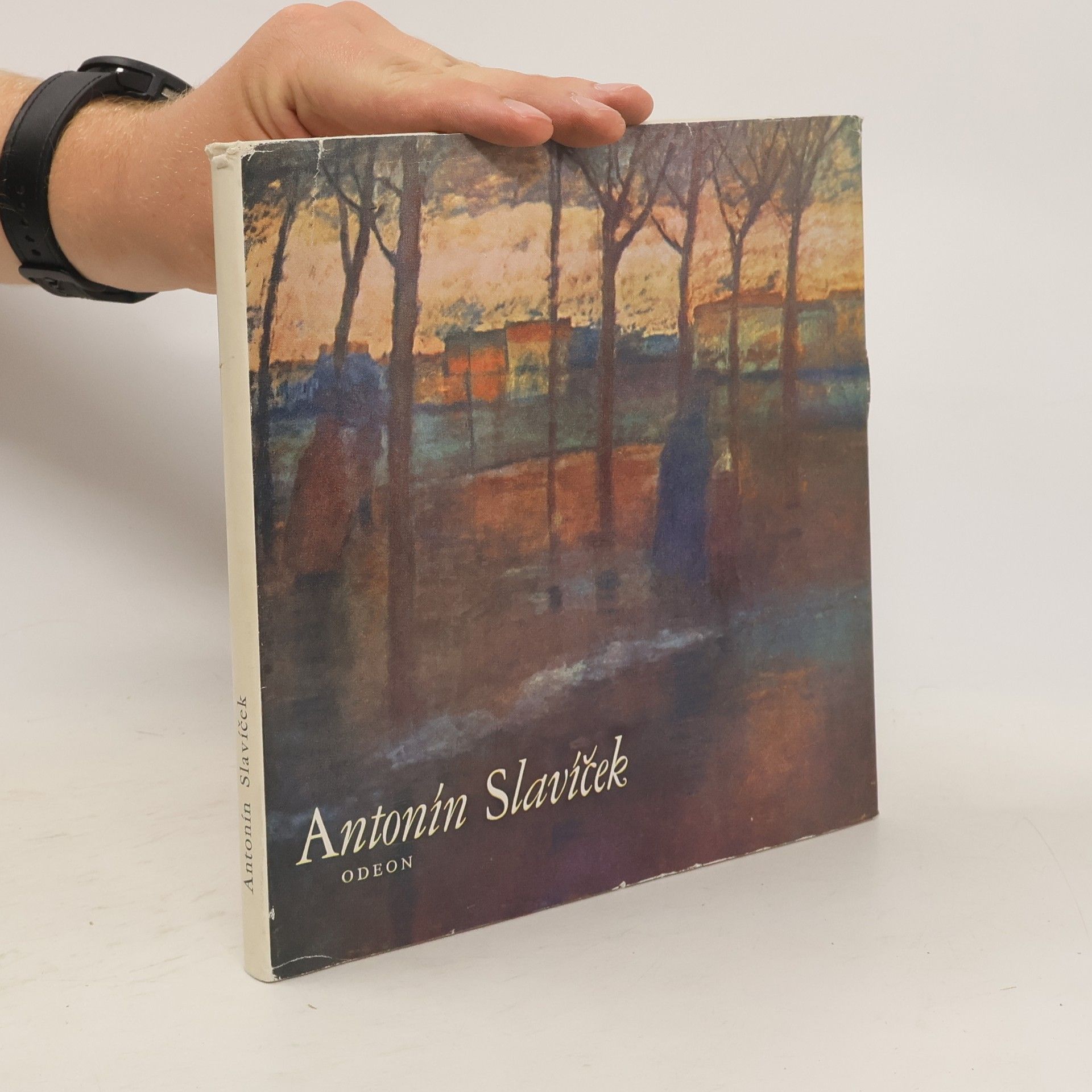 Jan Marius Tomeš Antonín Slavíček