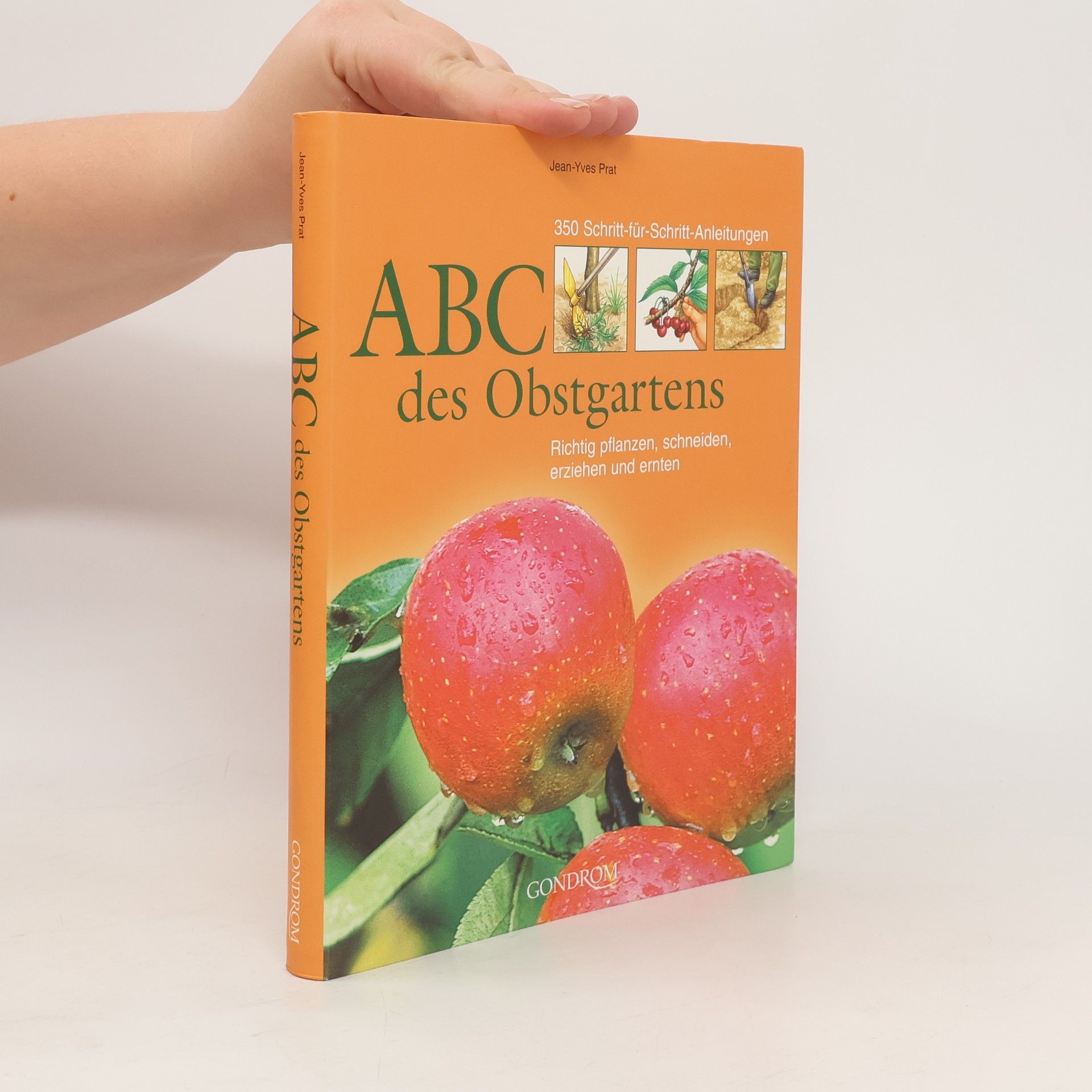 Jean-Yves Prat ABC des Obstgartens