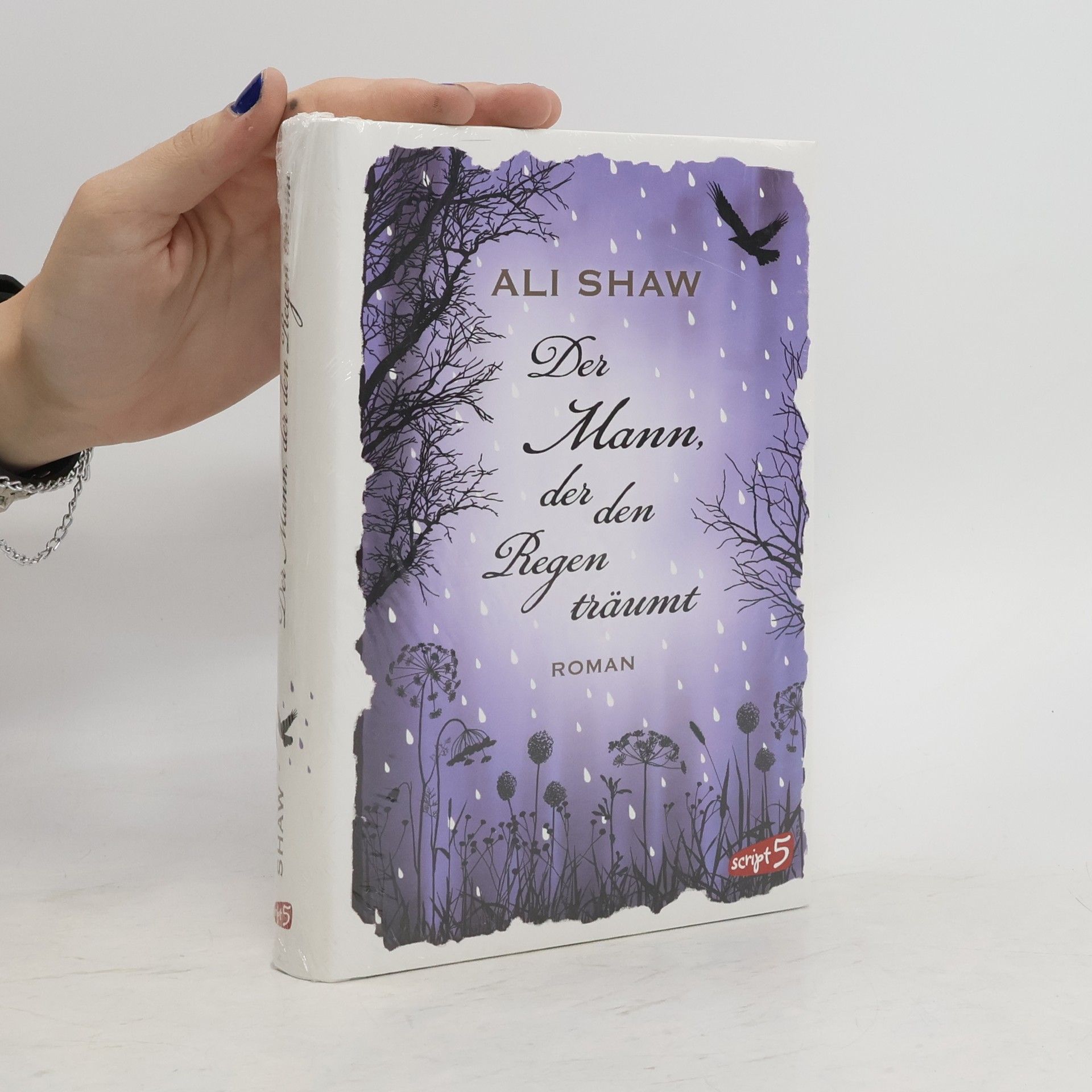 Ali Shaw Der Mann, der den Regen träumt