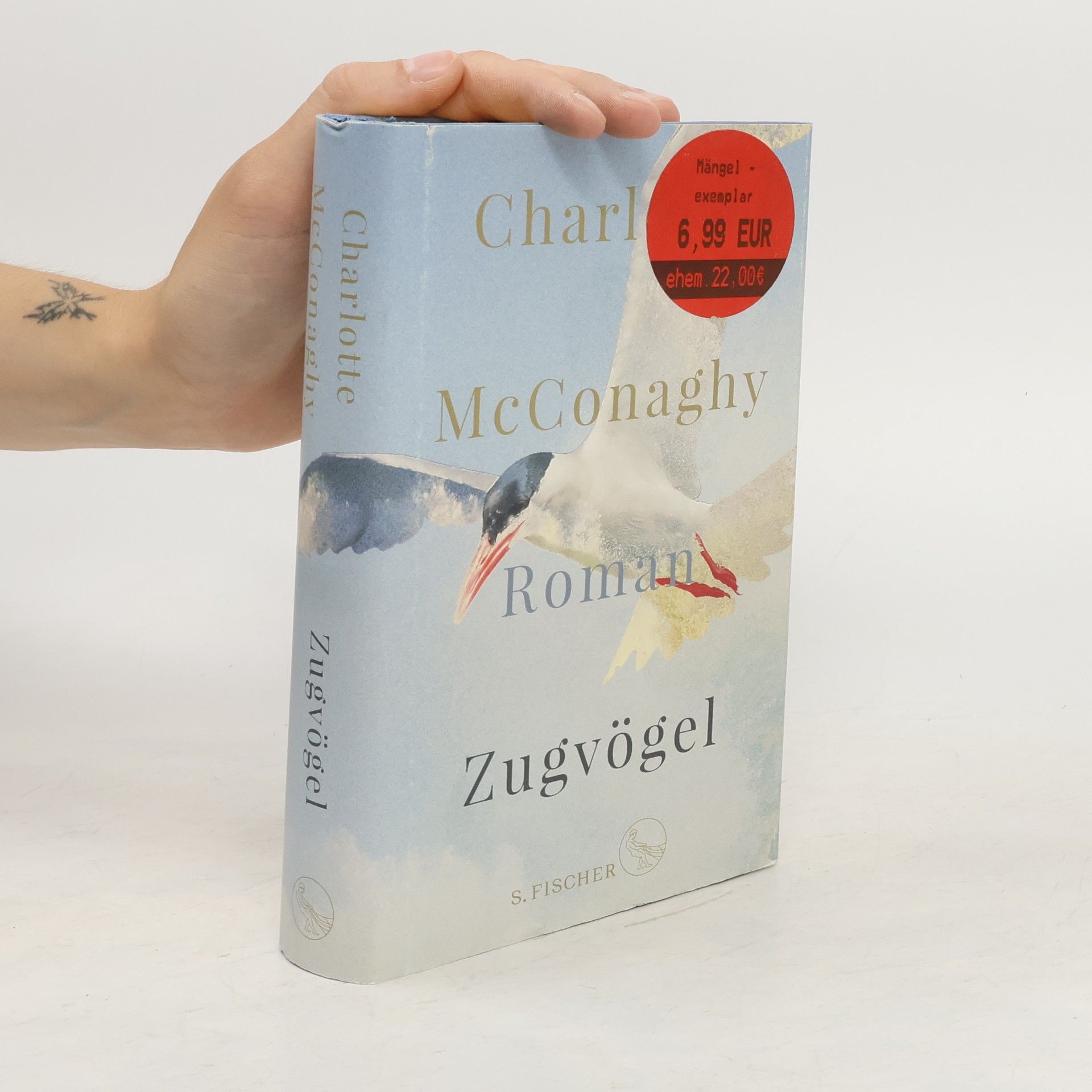 CHARLOTTE. MCCONAGHY Zugvögel