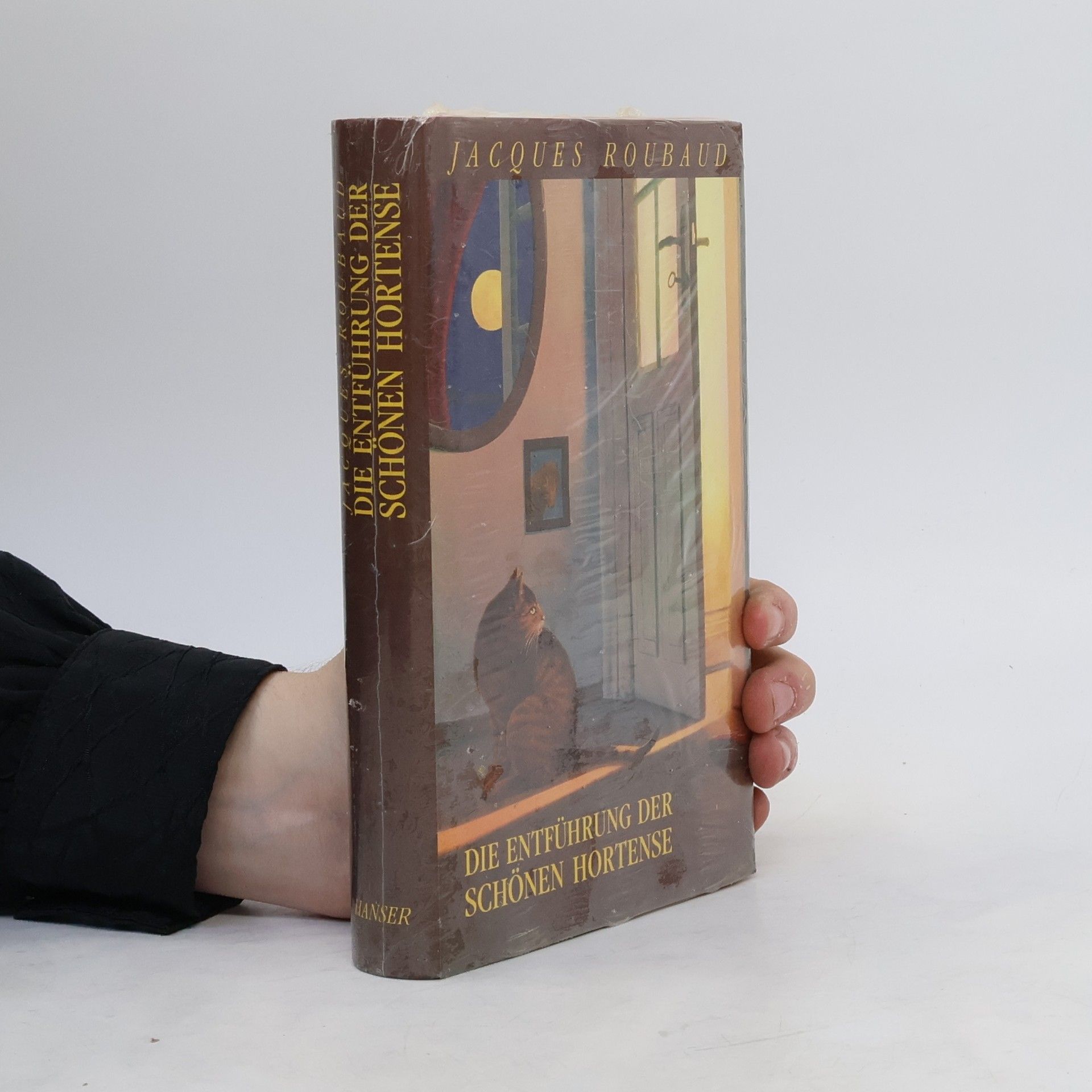Jacques Roubaud Die Entführung der schönen Hortense