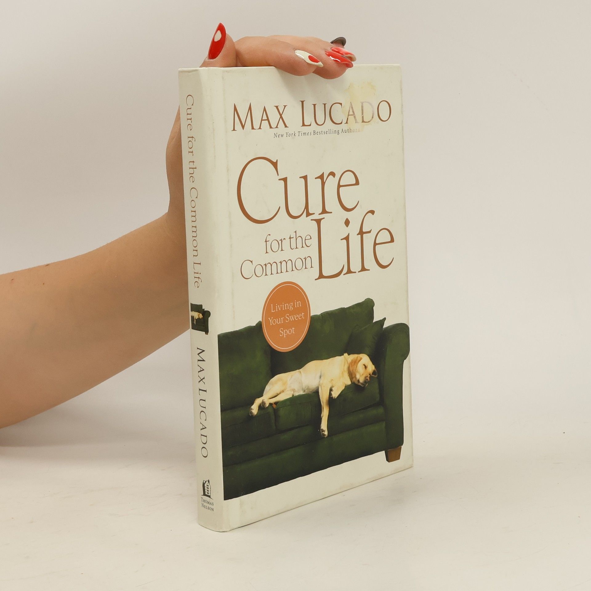 Max Lucado Cure for the Common Life