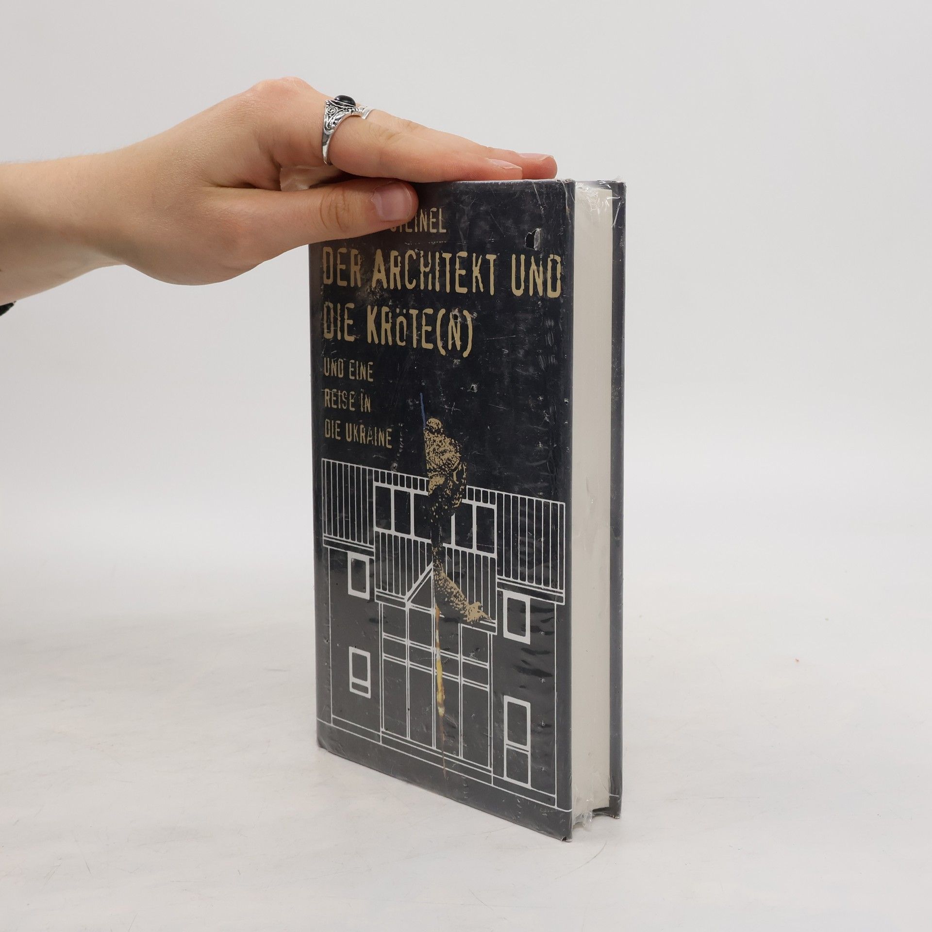 Hermann Steinel Der Architekt und die Kröte(n) ... und eine Reise in die Ukraine