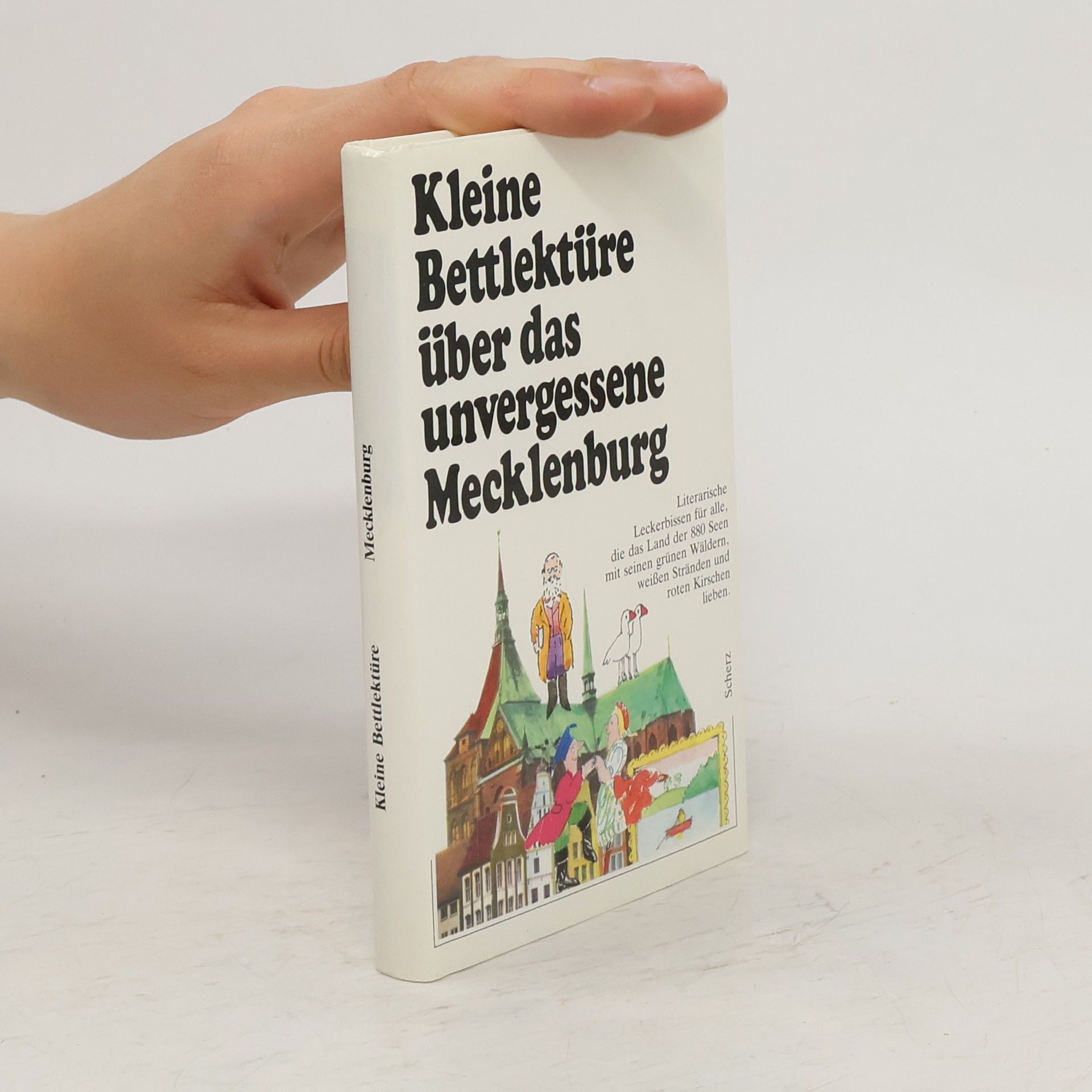 Petra Eisele Kleine Bettlektüre über das Unvergessene Mecklenburg