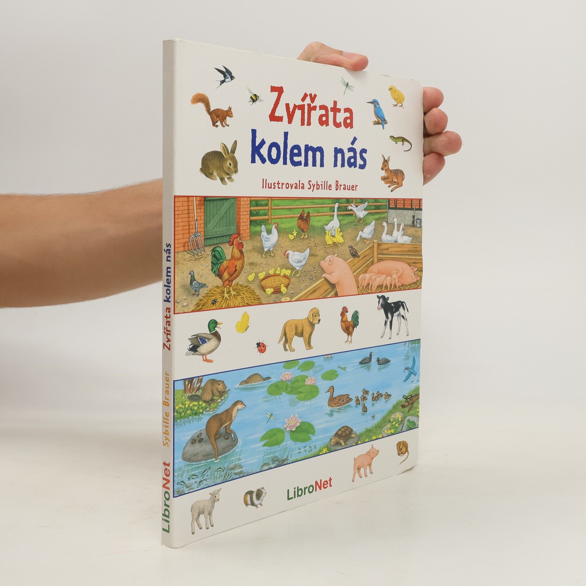Sybille Brauer Zvířata kolem nás