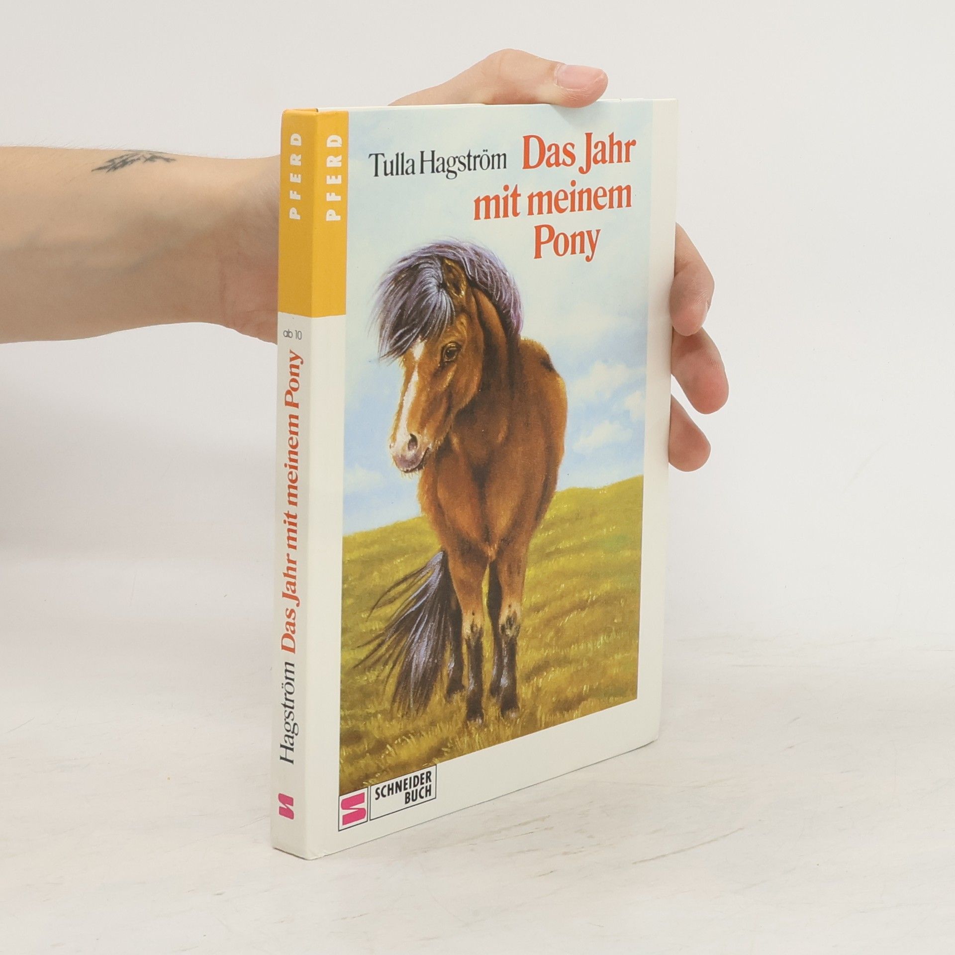Tulla Hagström Das Jahr mit meinem Pony