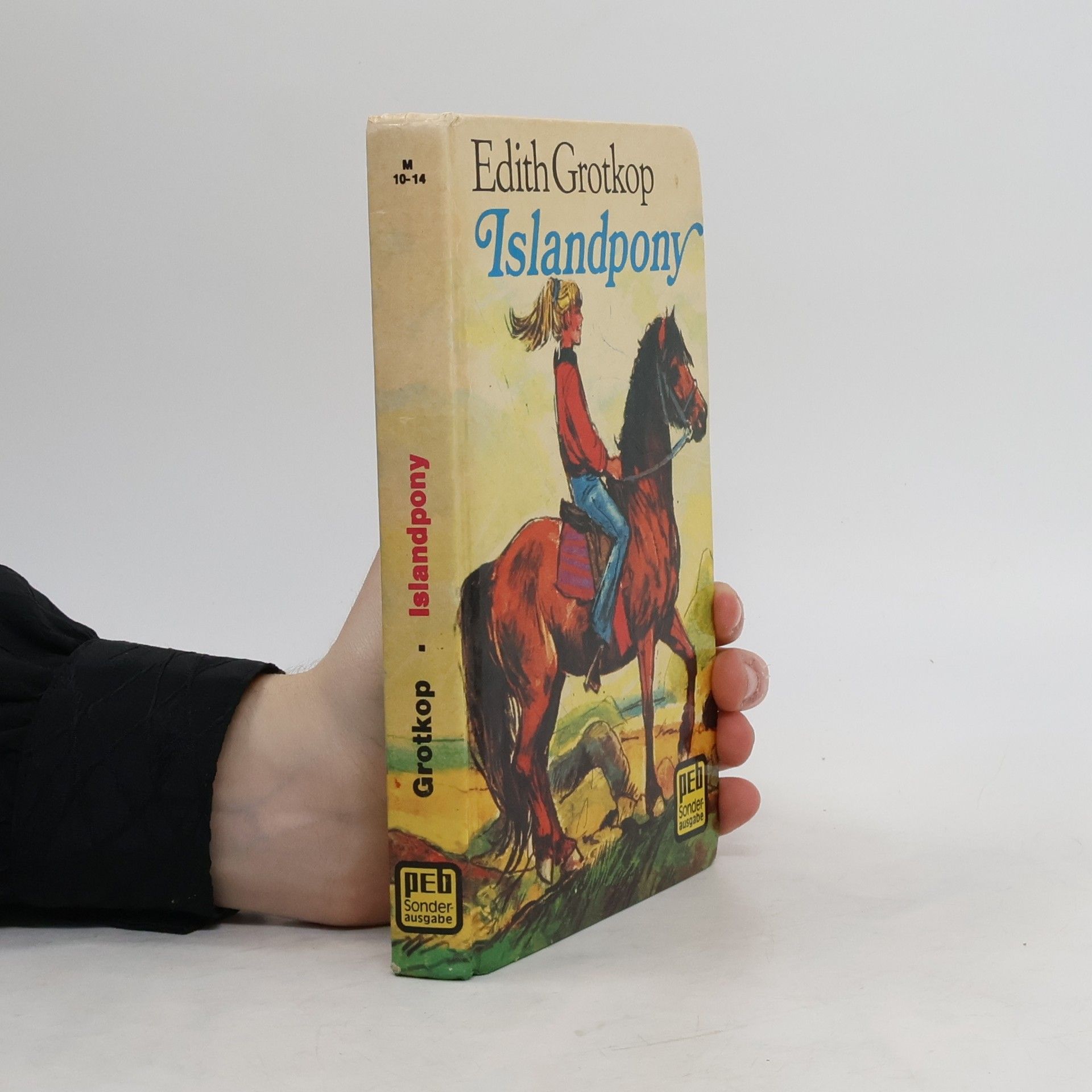 Edith Grotkop Islandpony