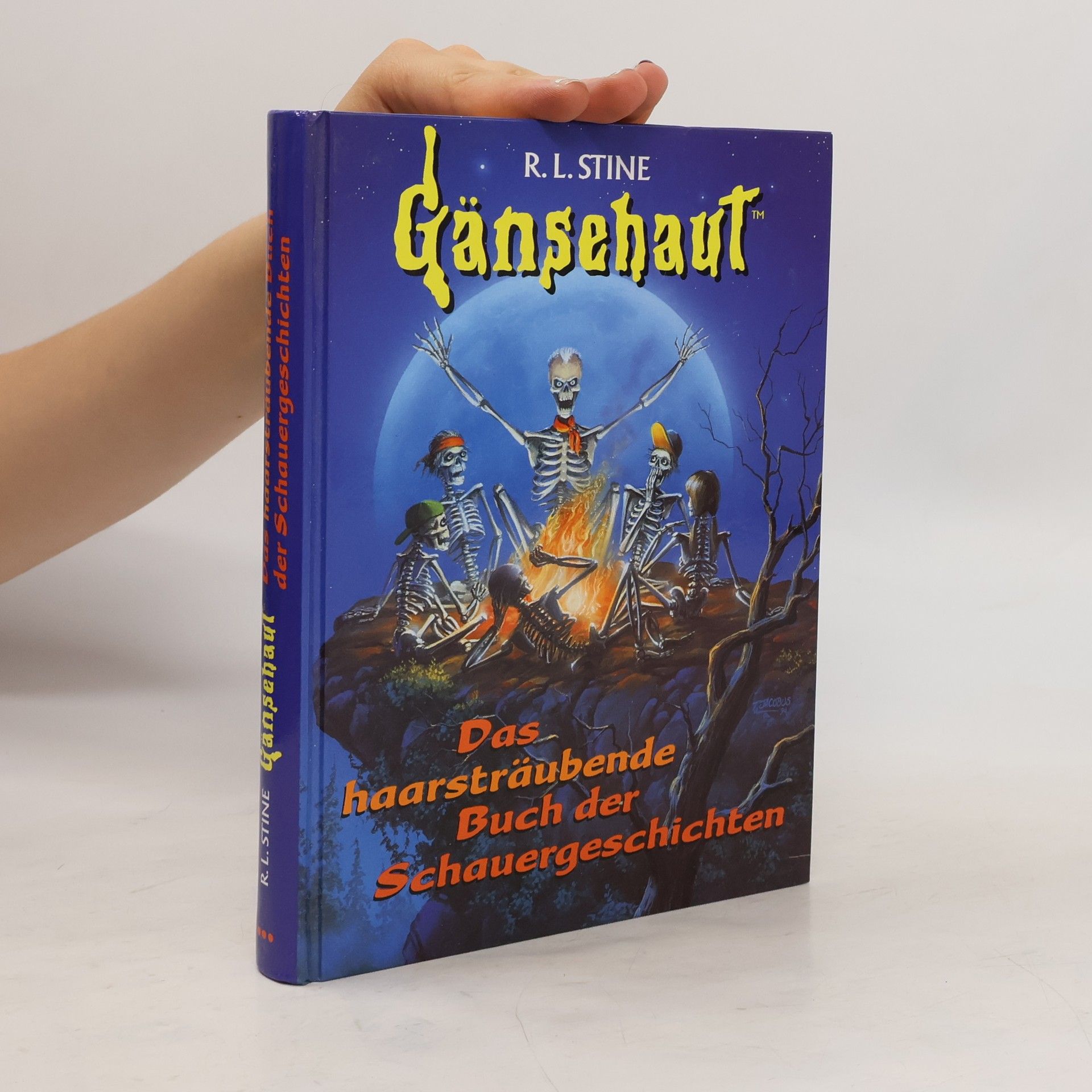 R. L. Stine Gänsehaut. Das haarsträubende Buch der Schauergeschichten