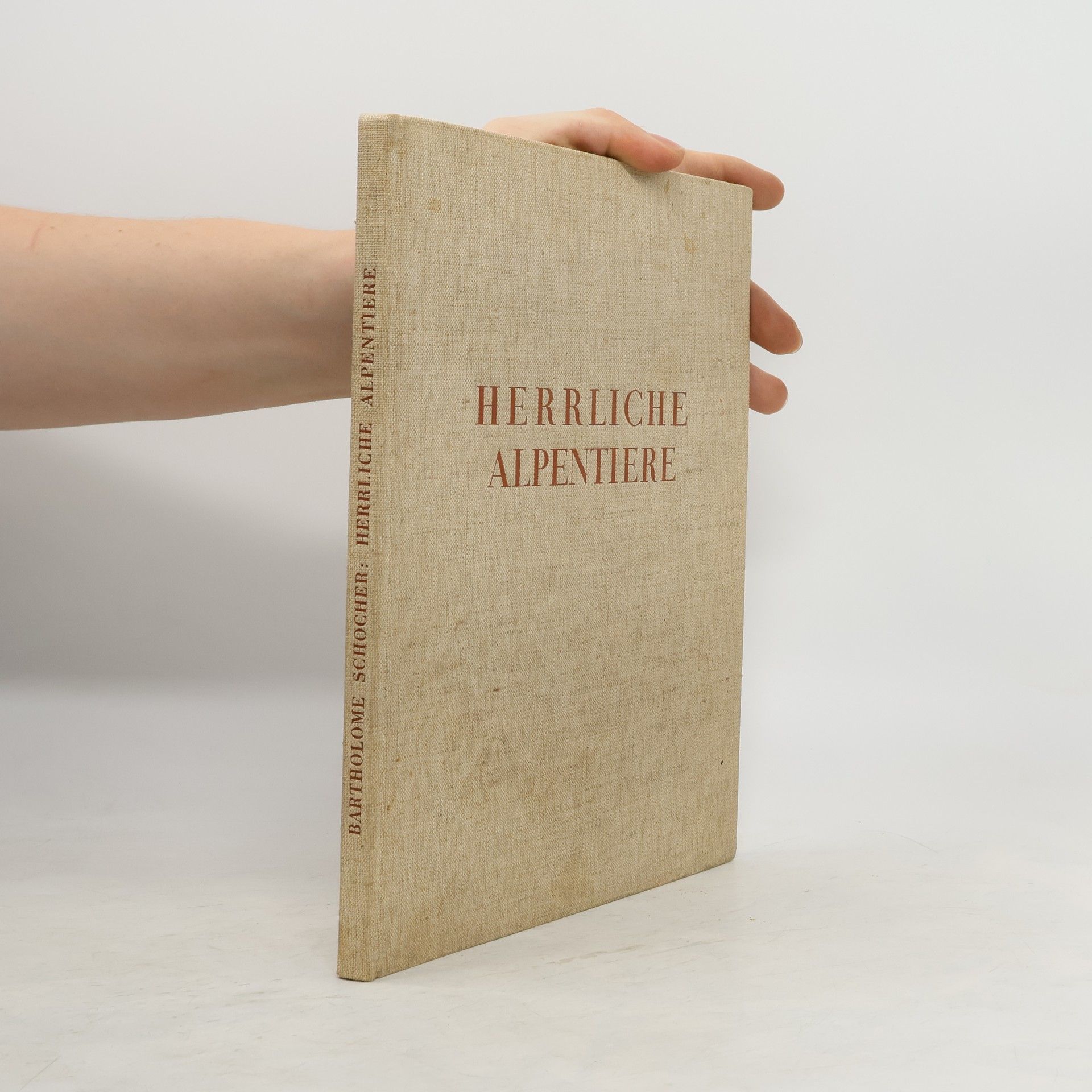Bartholomé Schocher Herrliche Alpentiere