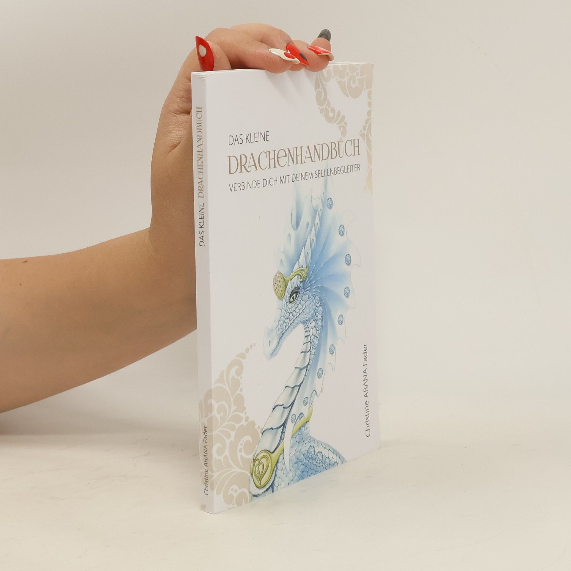 Christine Arana Fader Das kleine Drachenhandbuch