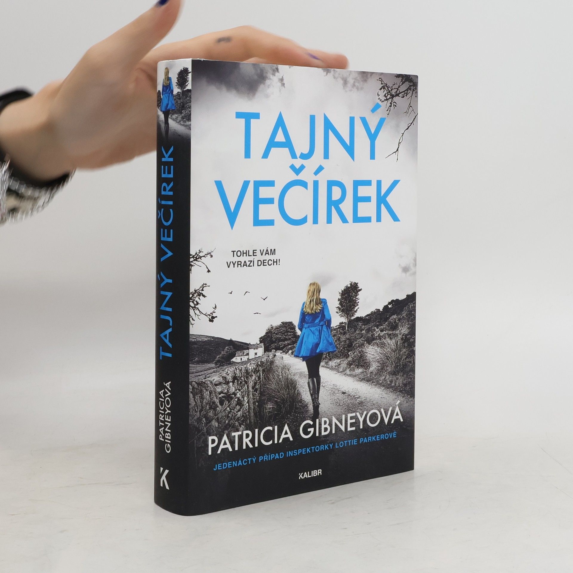 Patricia Gibney Tajný večírek