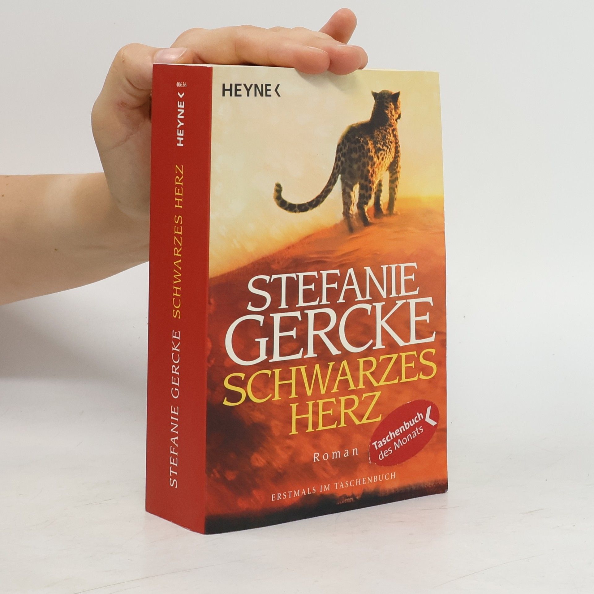 Stefanie Gercke Schwarzes Herz