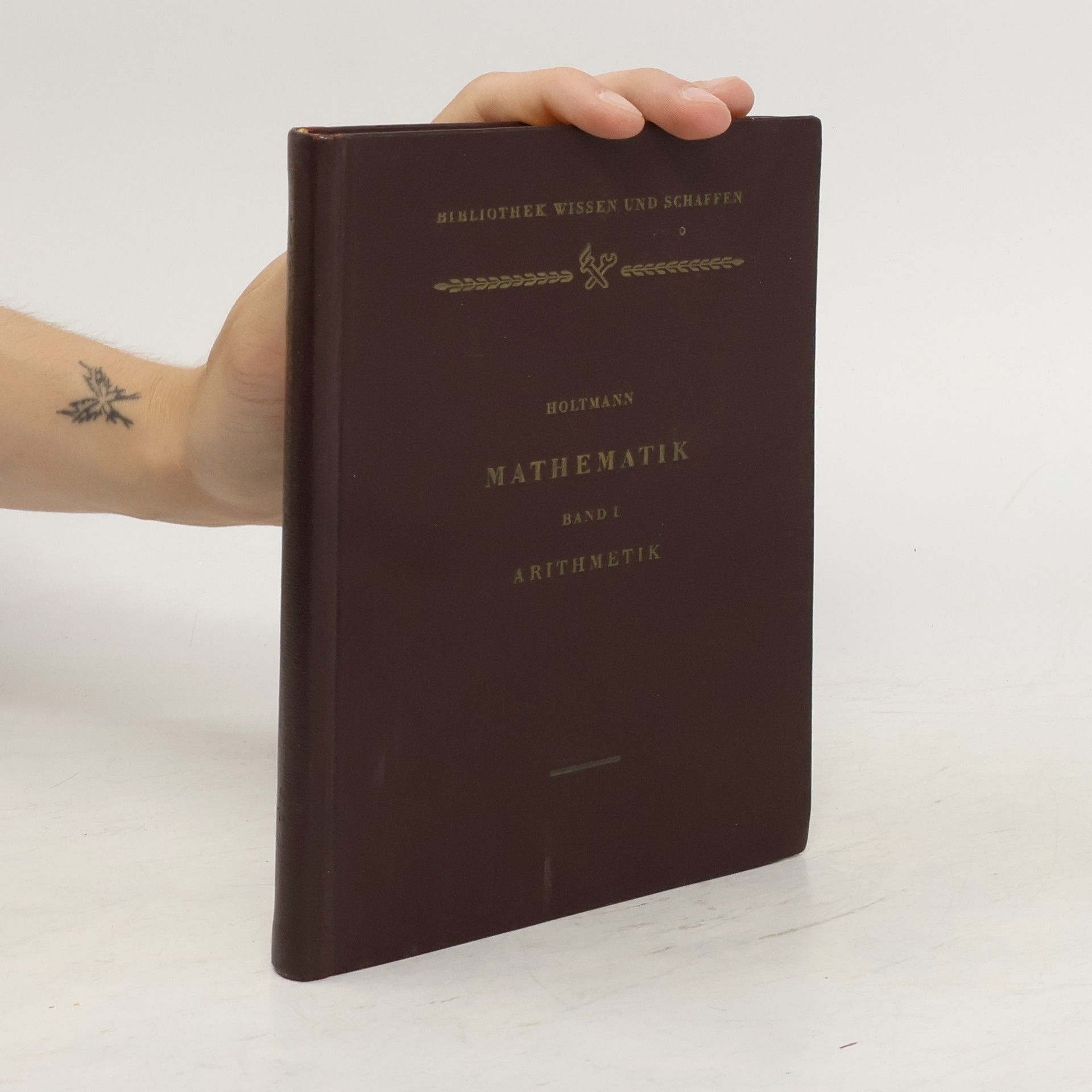 Friedrich Holtmann Mathematik. Band 1 - Arithmetik