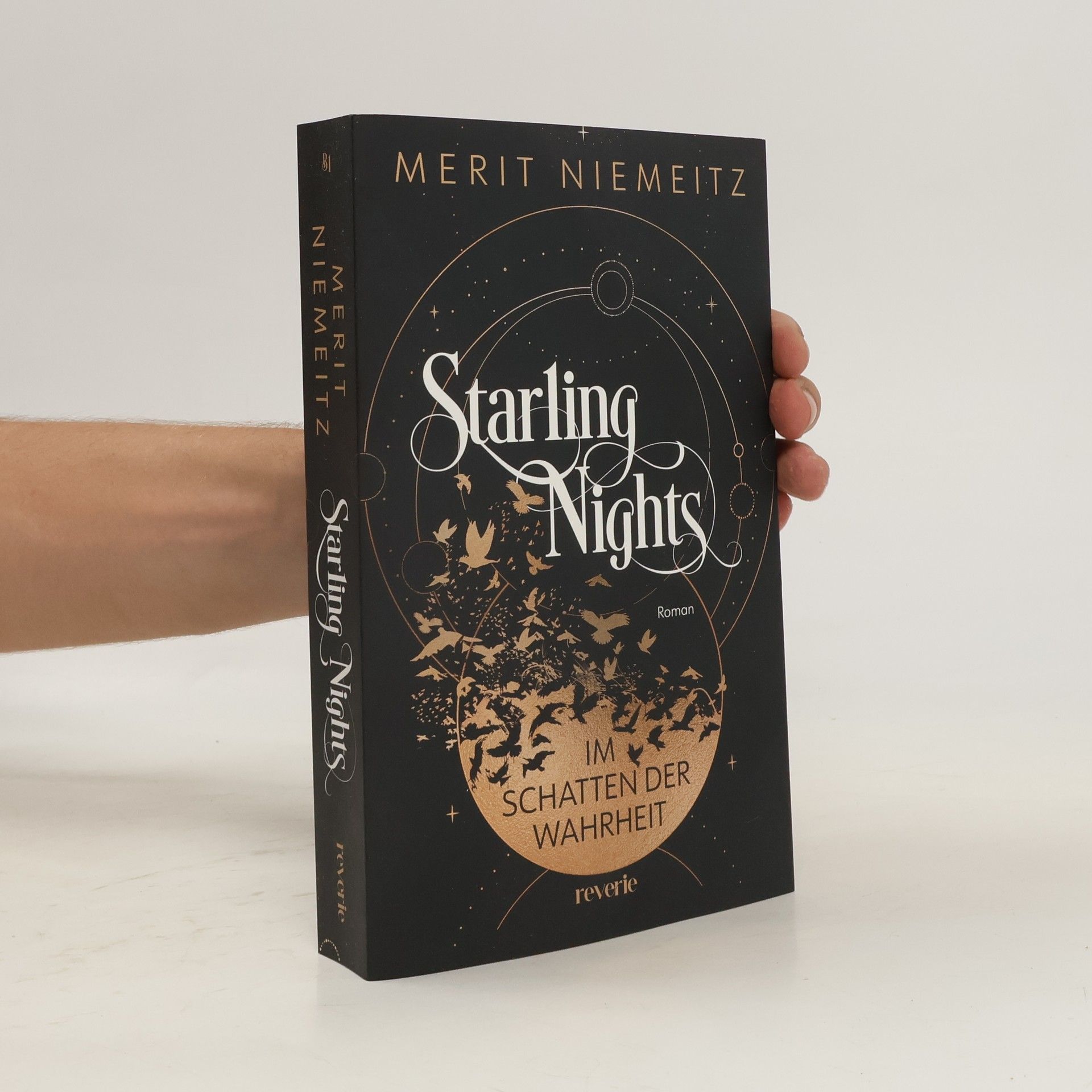 Merit Niemeitz Starling Nights 1