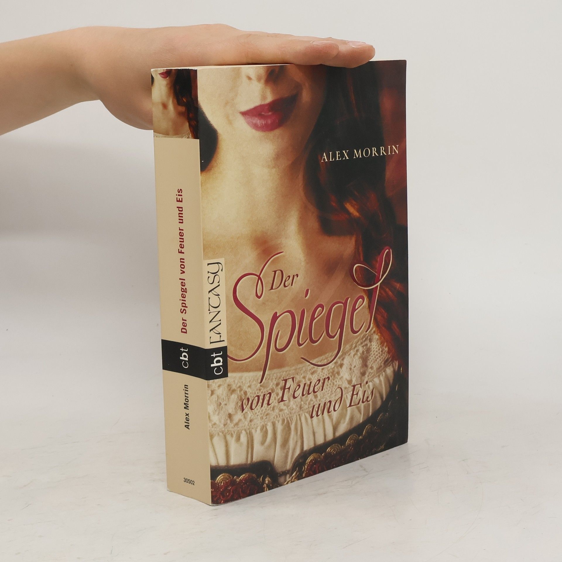 Lynn Raven Der Spiegel von Feuer und Eis