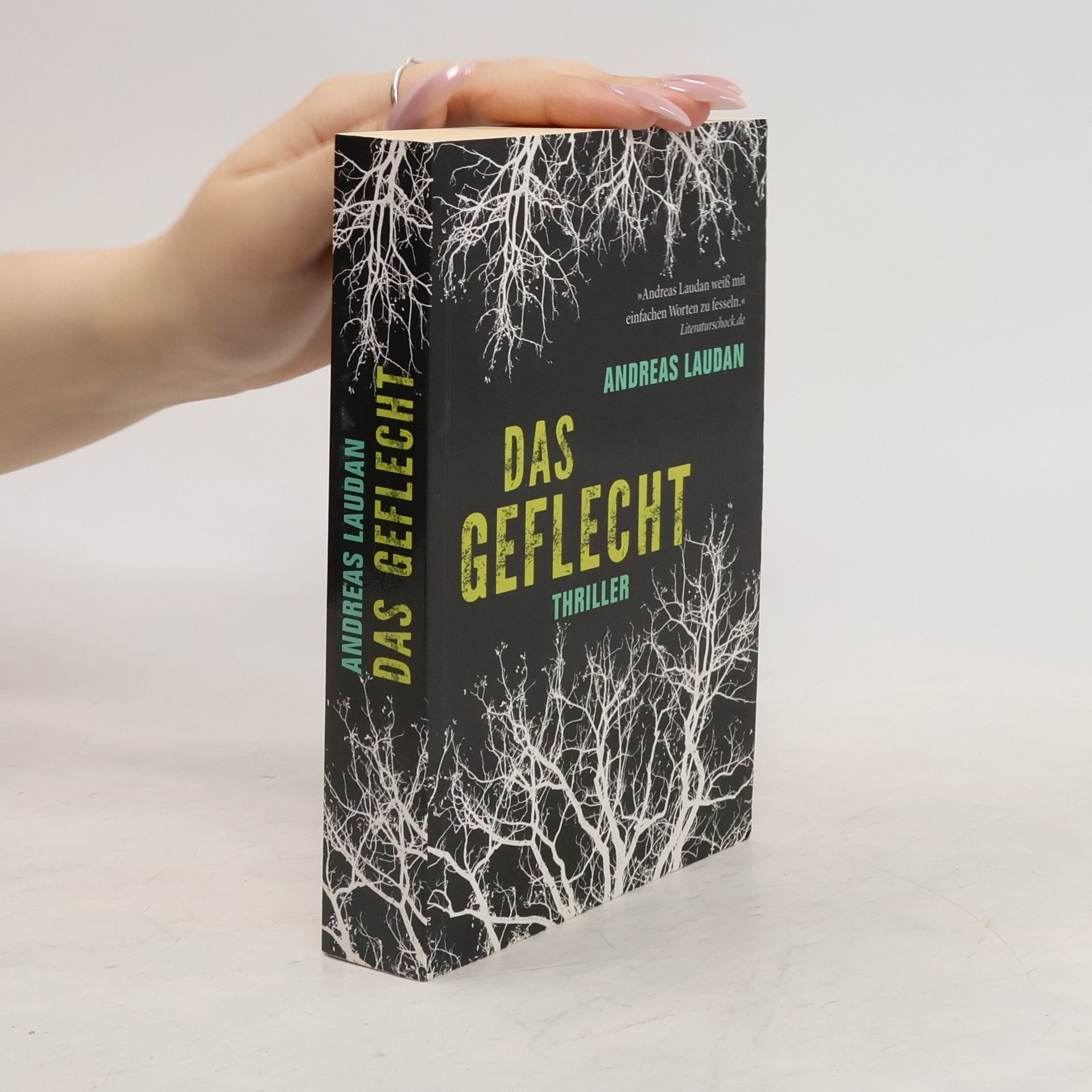Andreas Laudan Das Geflecht