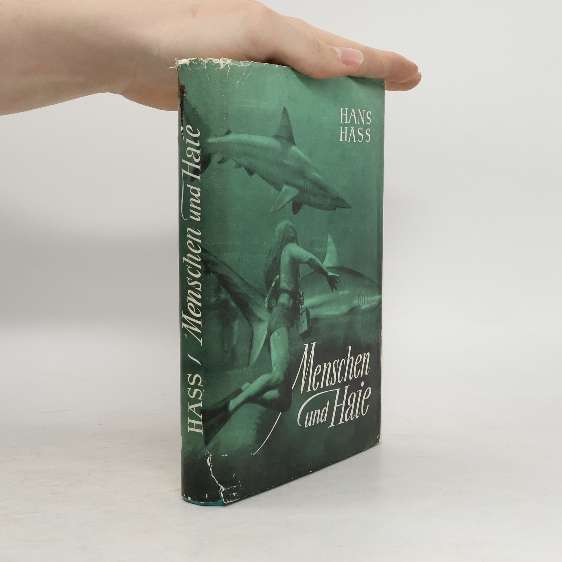Hans Hass Menschen und Haie