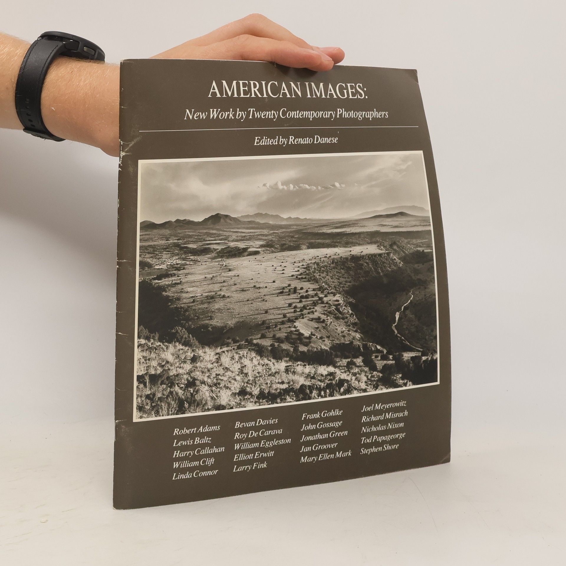 Renato Danese American Images: New Work by Twenty Contemporary Photographers
