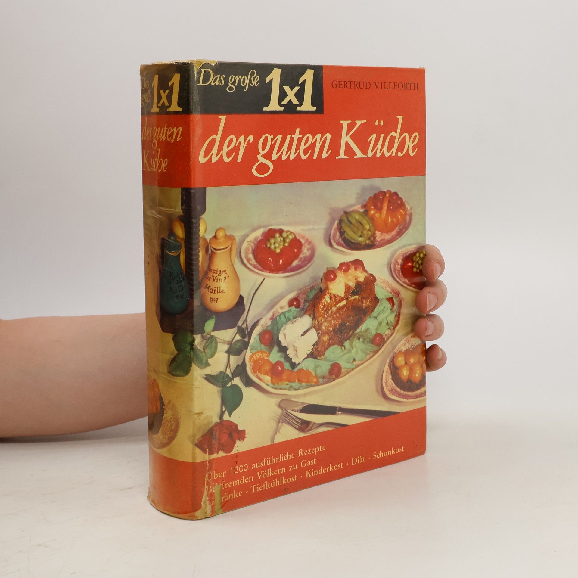 Gertrud Villforth Das große 1x1 der guten Küche