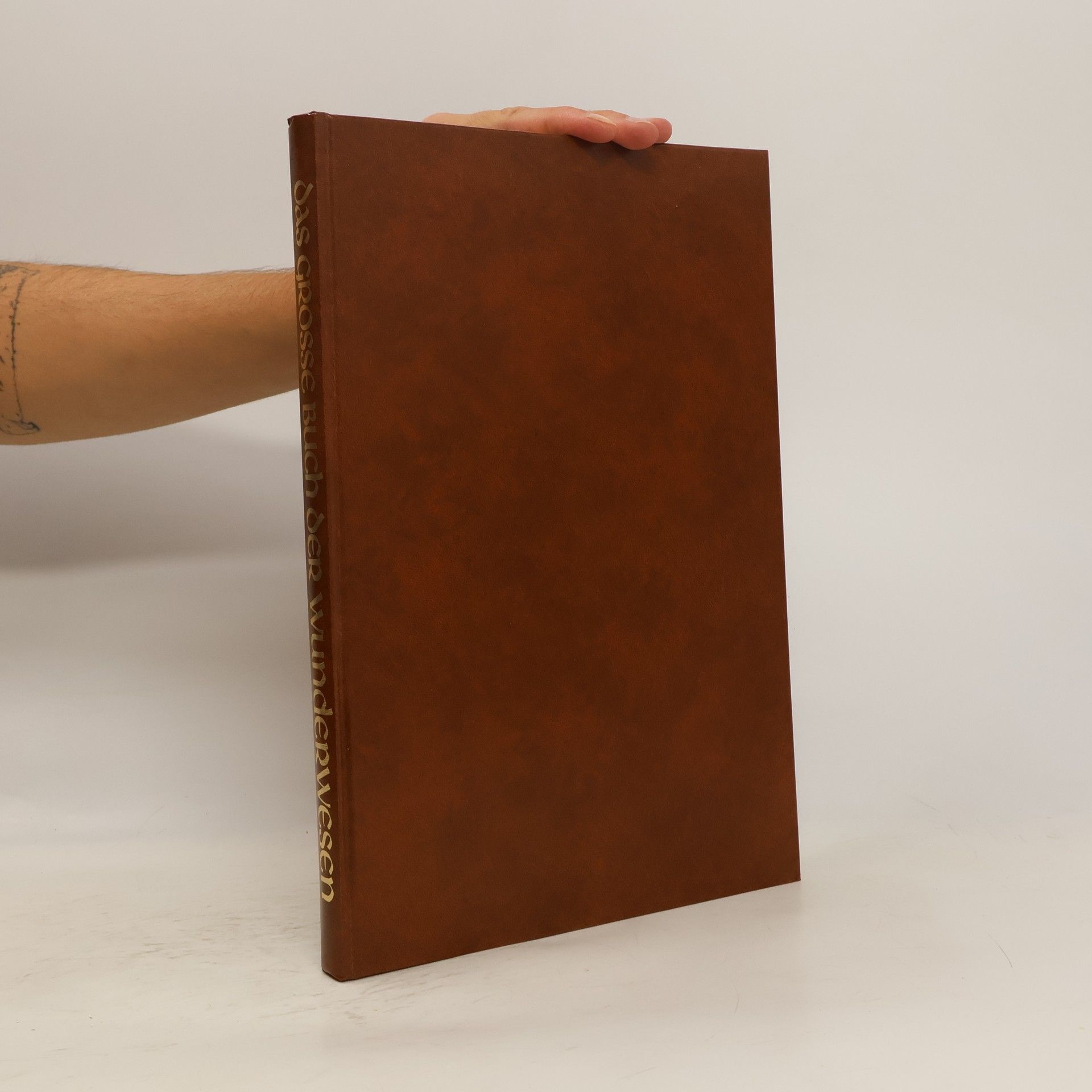 Theo Schildkamp Das grosse Buch der Wunderwesen