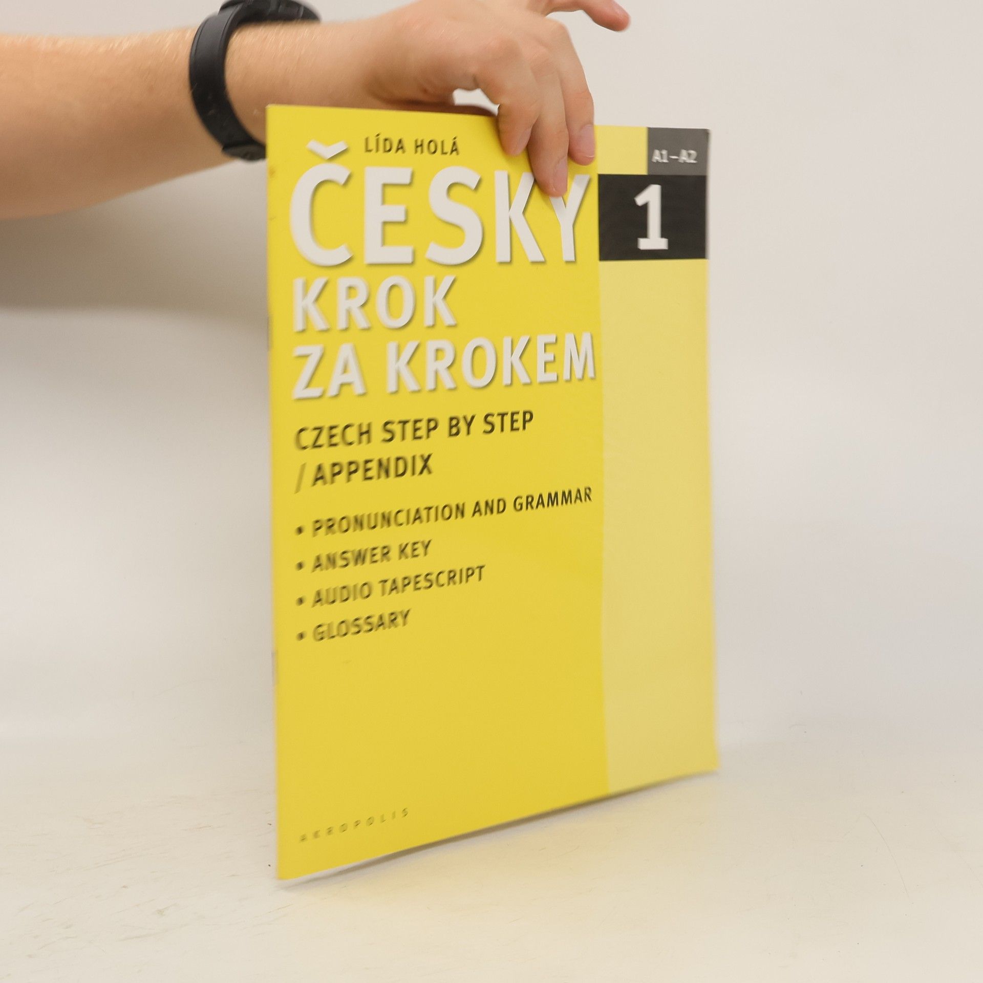 Lída Holá Česky krok za krokem 1. A1-A2 příloha